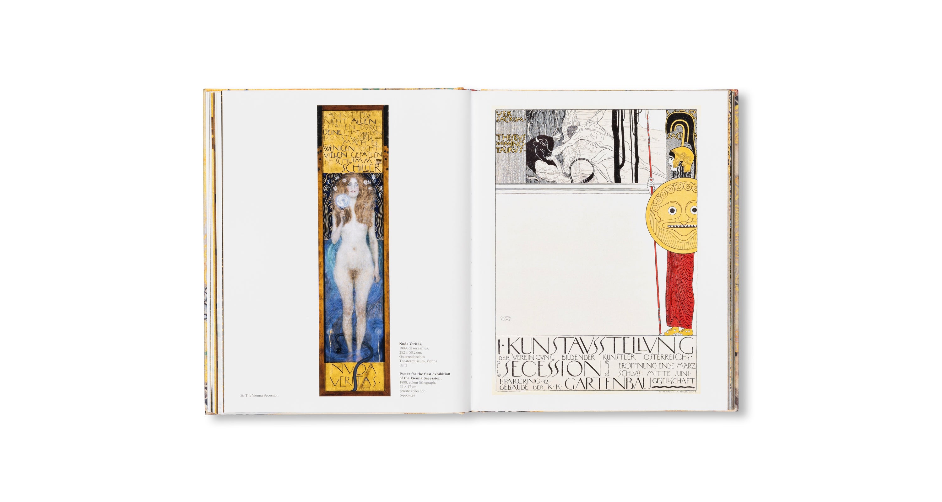 KLIMT - THE BIGGER PICTURE by Philippe Thiébaut