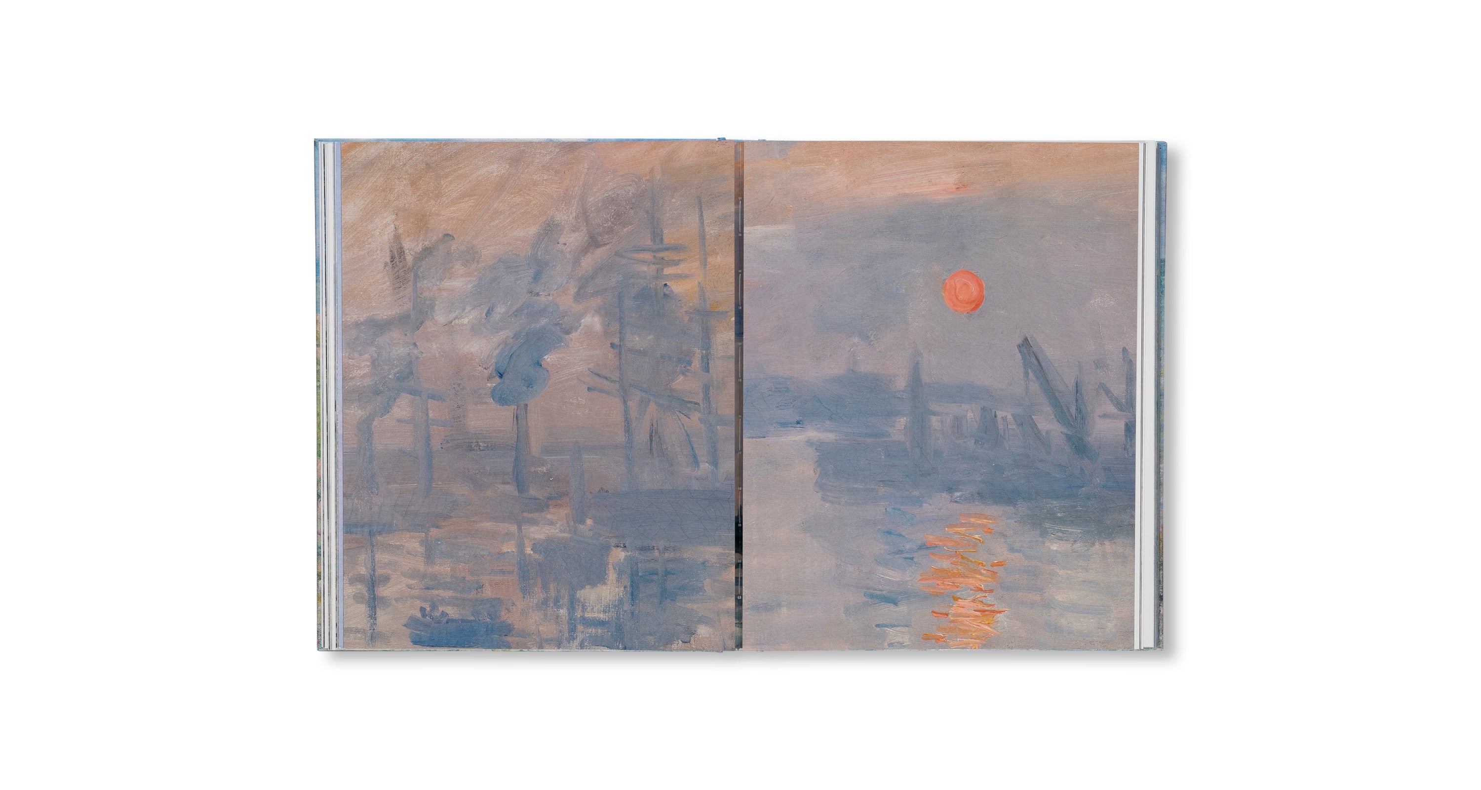 MONET - THE BIGGER PICTURE by Anne Sefrioui