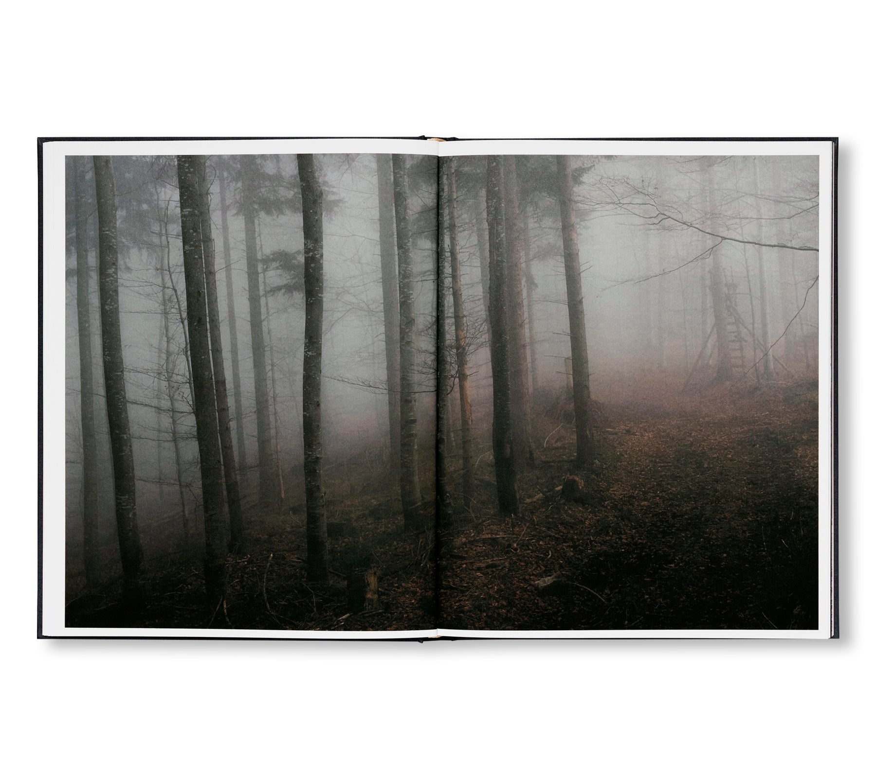THE ENCOUNTER by Stéphan Crasneanscki [SIGNED]