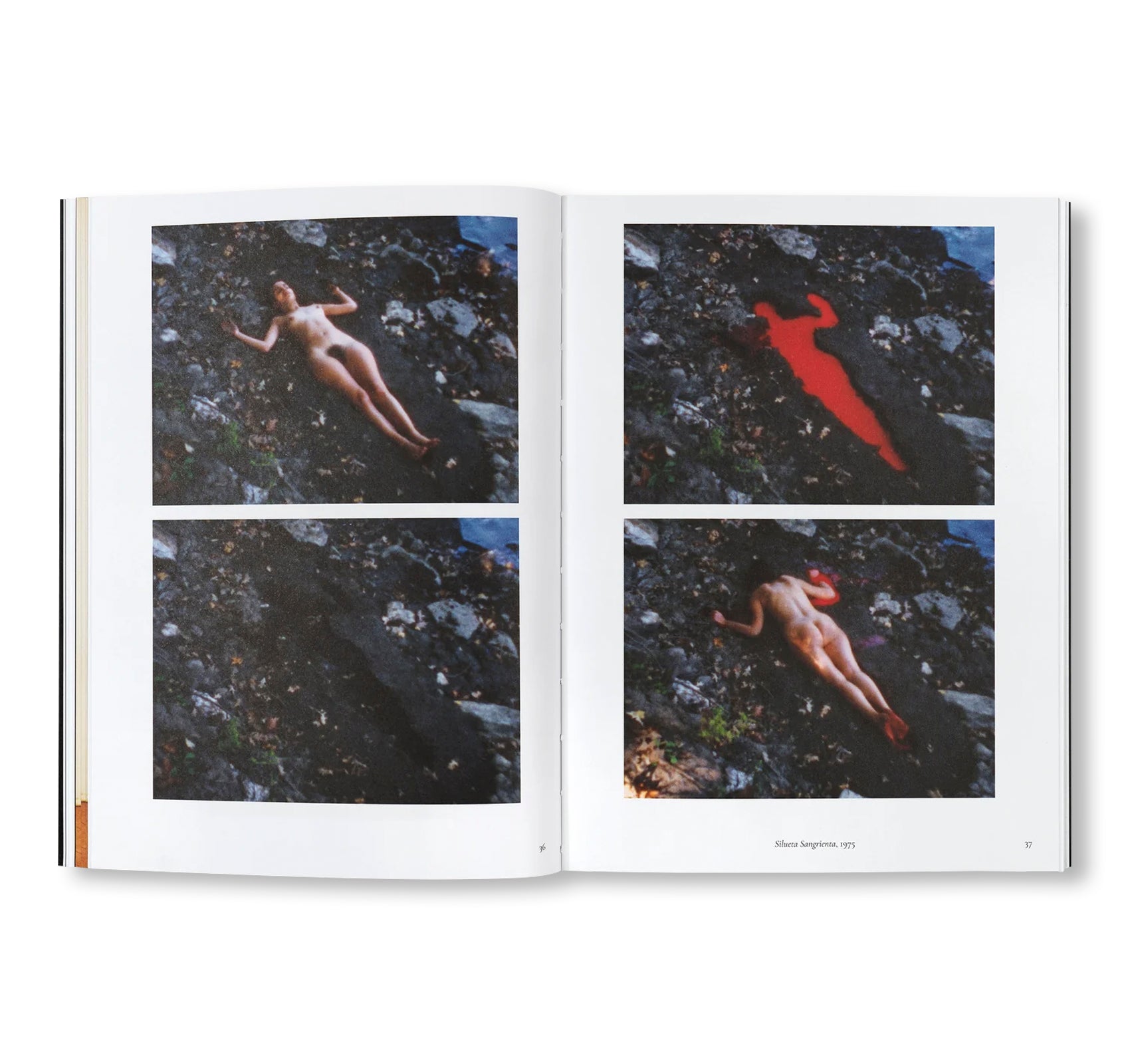 ANA MENDIETA: BACK TO THE SOURCE by Ana Mendieta