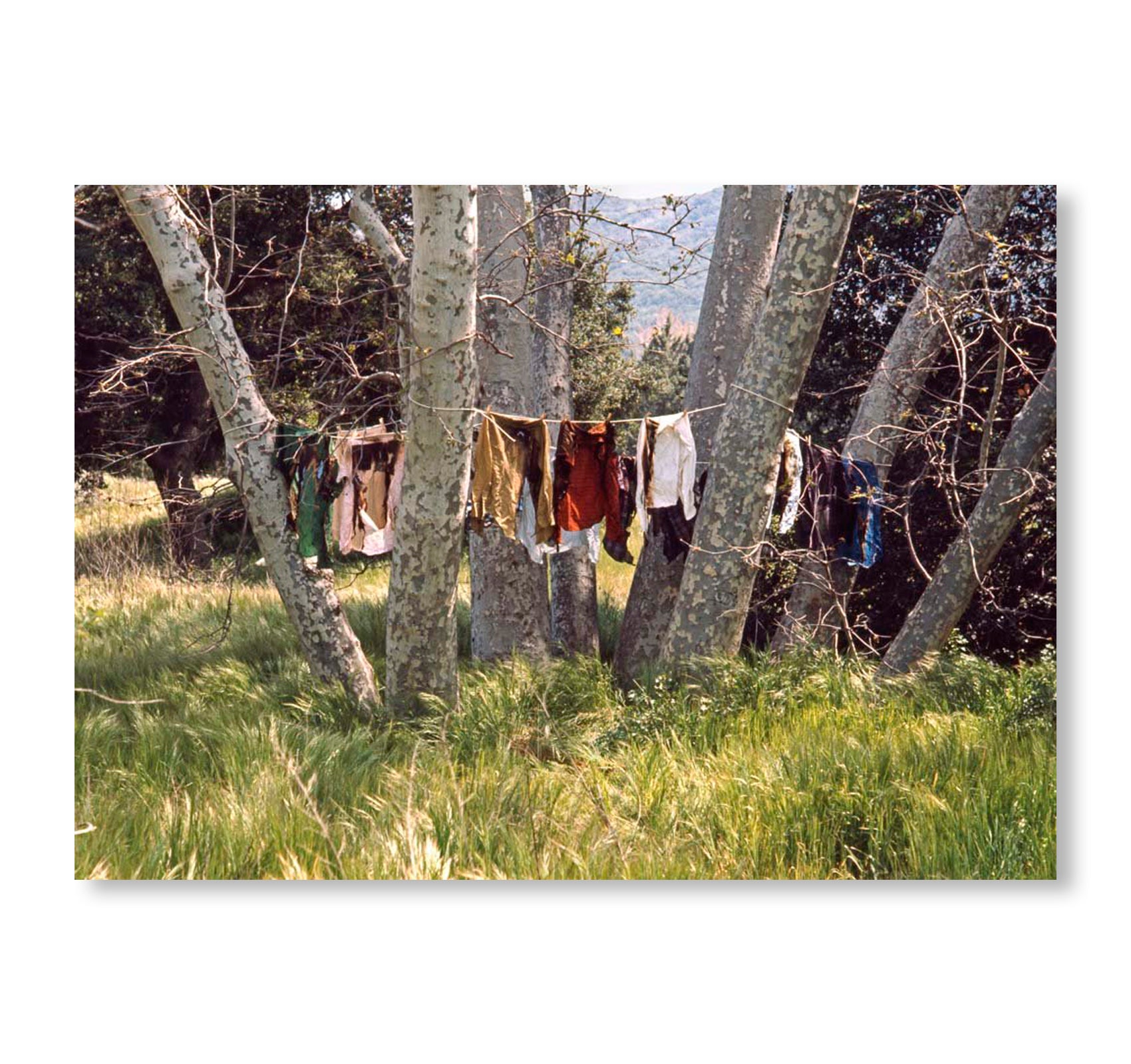 INTELLECTUAL PROPERTY 1968–2018 by Allen Ruppersberg