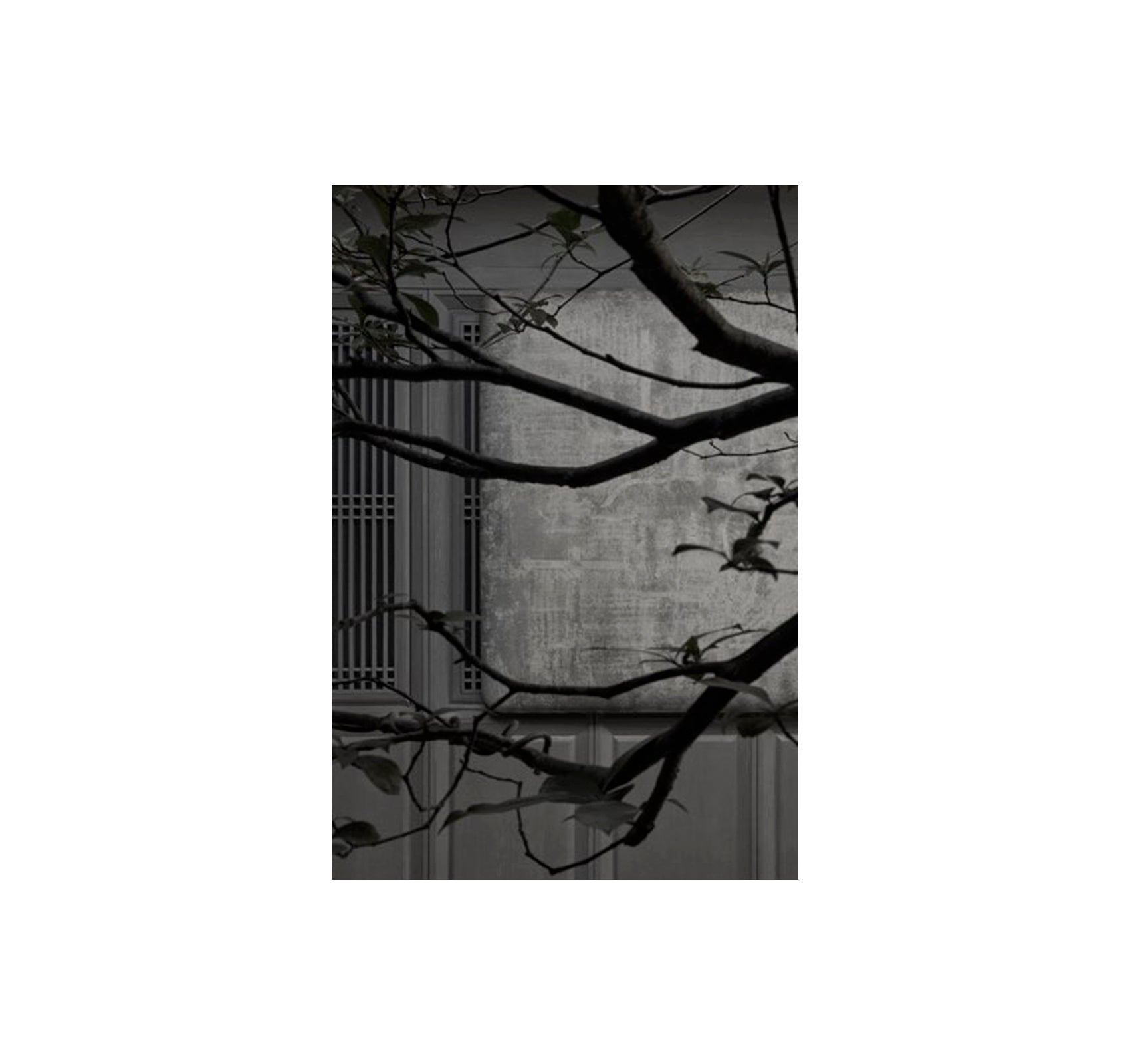 ARK JOURNAL VOLUME XV SPRING/SUMMER 2026