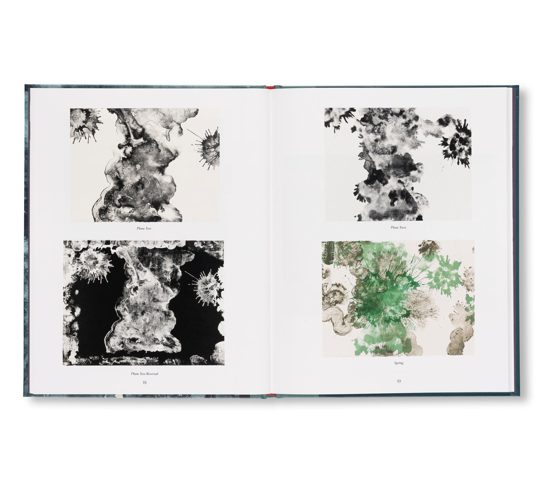 THE TAMARIND PRINTS by Ruth Asawa