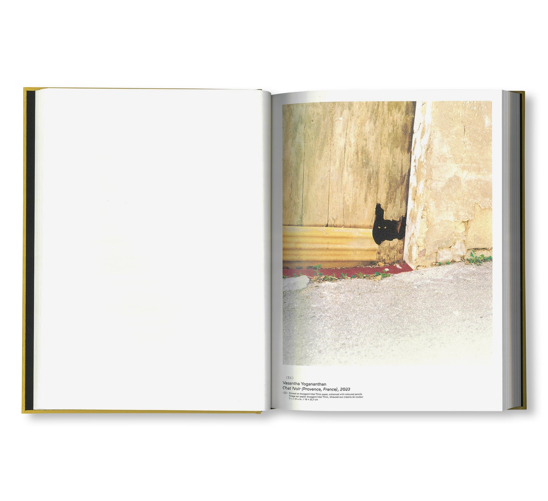 CLIN D'ŒIL by Cécile Poimbœuf-Koizumi & Stephen Ellcock