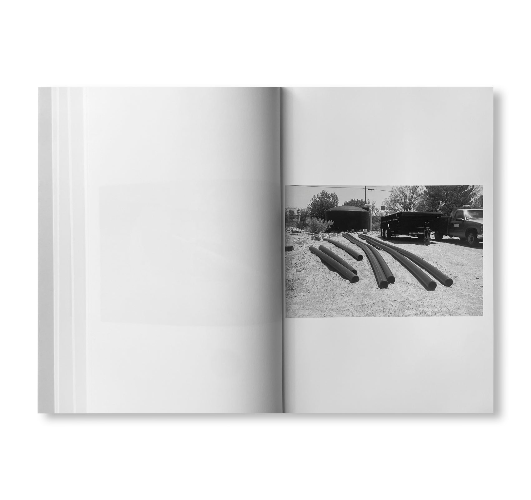 WESTTEXASPSYCHOSCULPTURE by Christopher Wool [SIGNED]