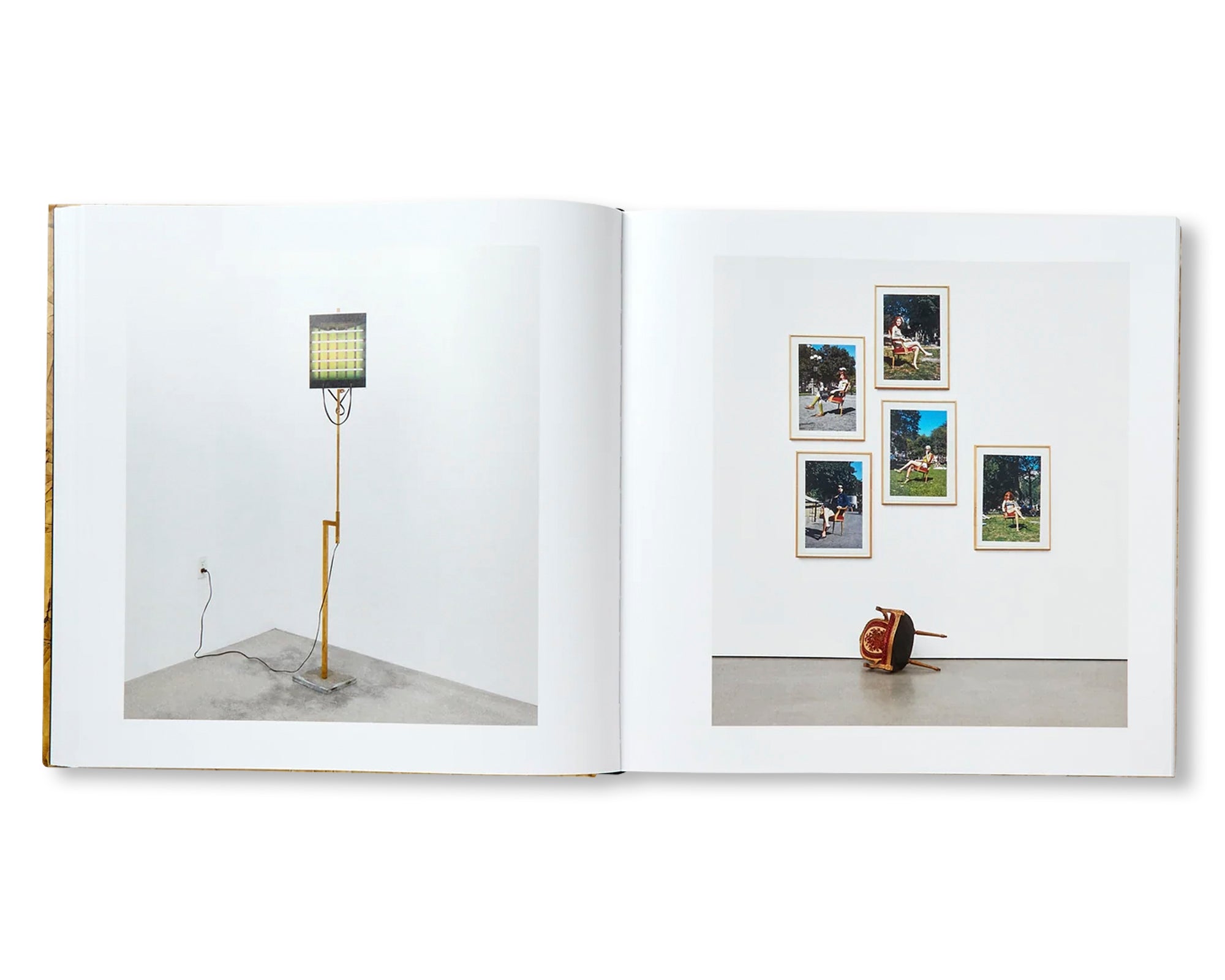 DAVID HAMMONS by David Hammons (HAUSER & WIRTH)