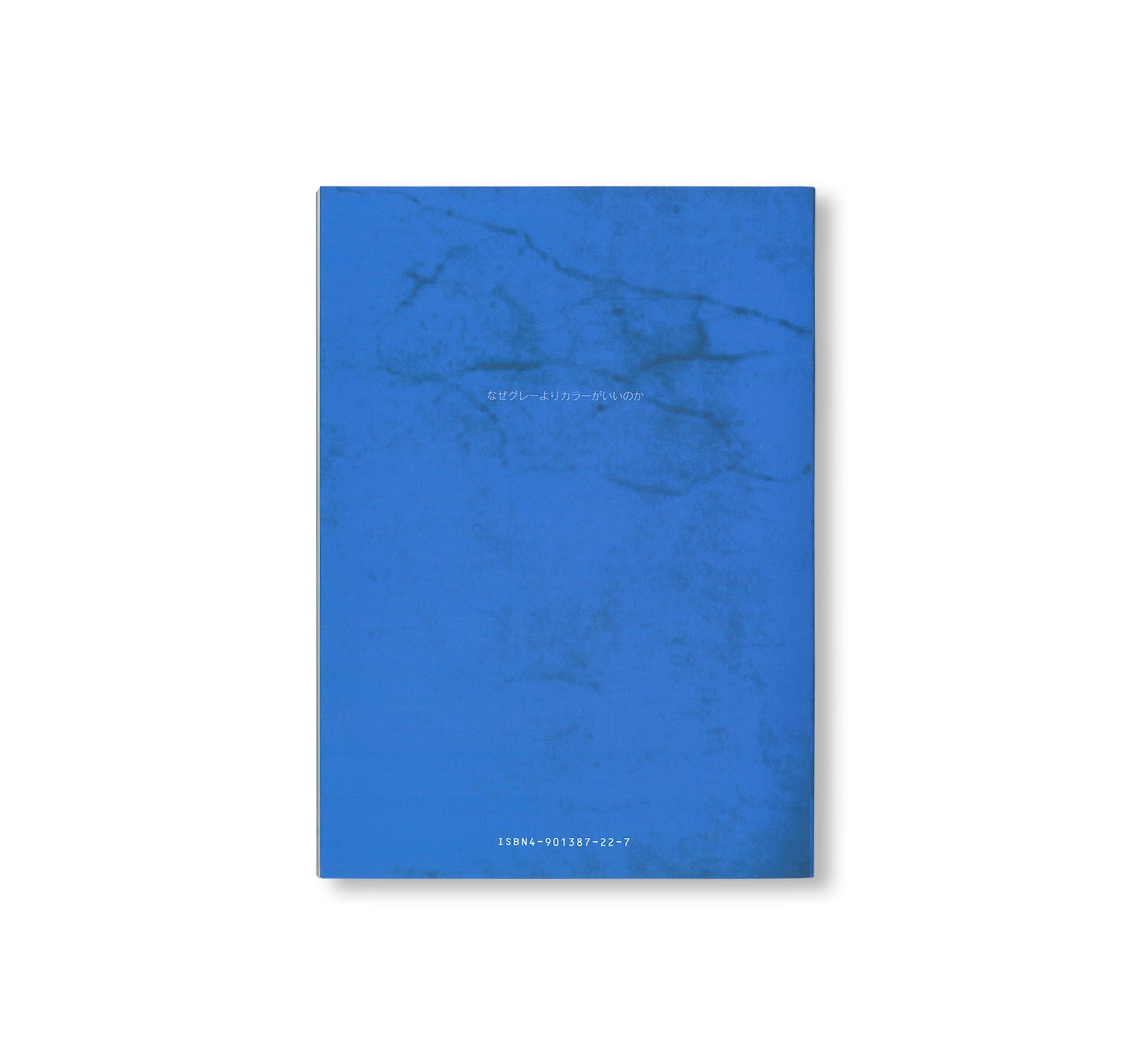 WHY IS COLOUR BETTER THAN GREY / なぜグレーよりカラーがいいのか by Anri Sala