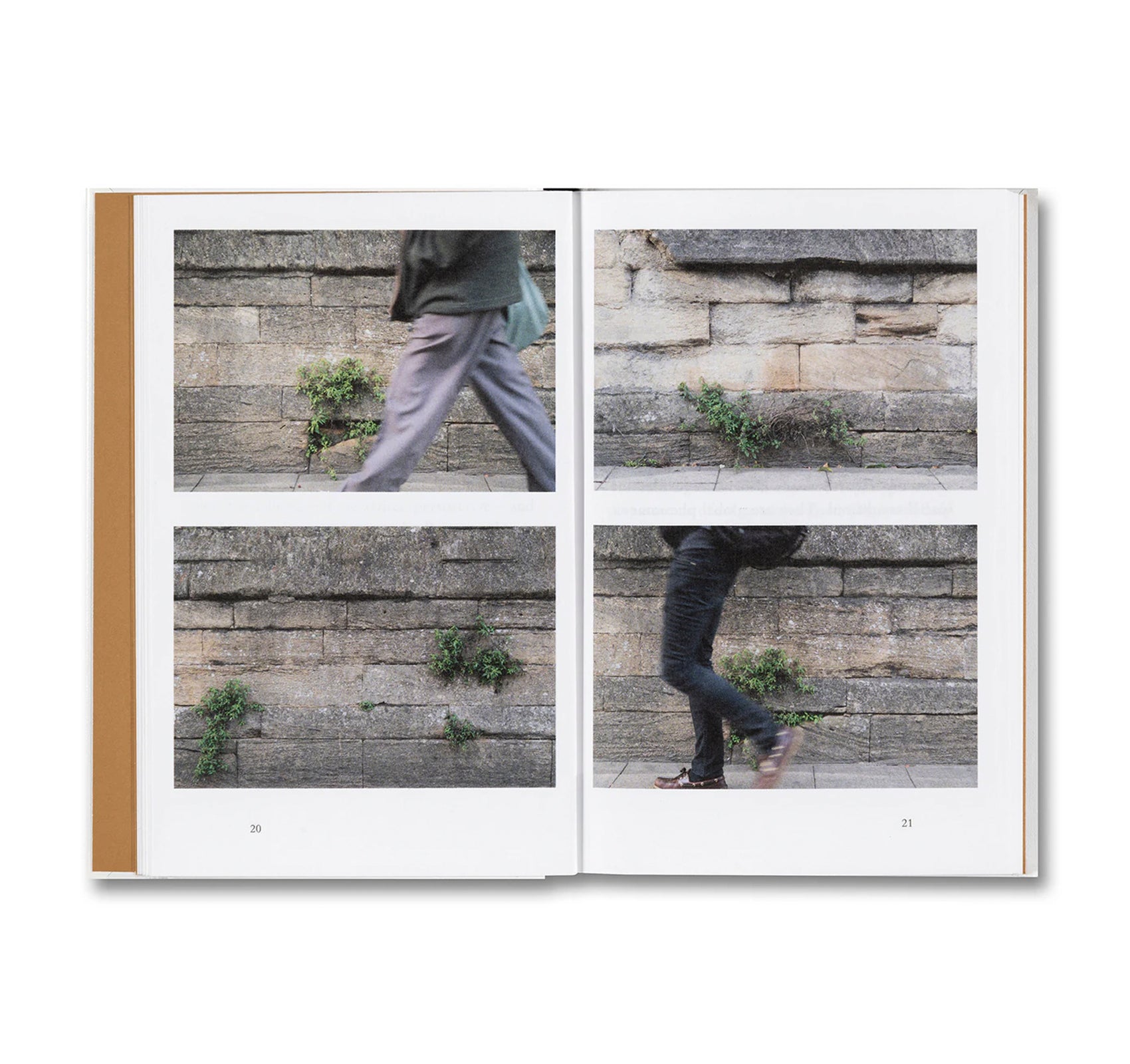 WEEDS: A GERMINATING THEORY by Kwan Queenie Li