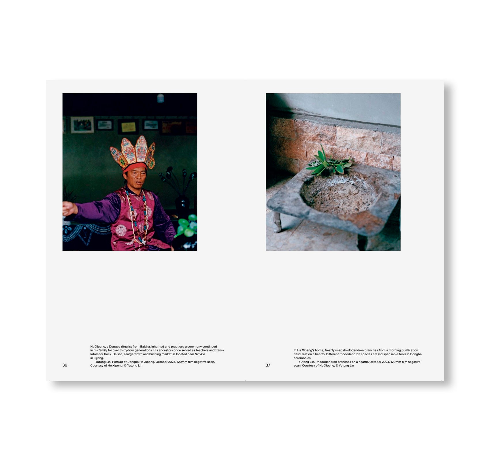 ZOMIA GARDEN by Yutong Lin