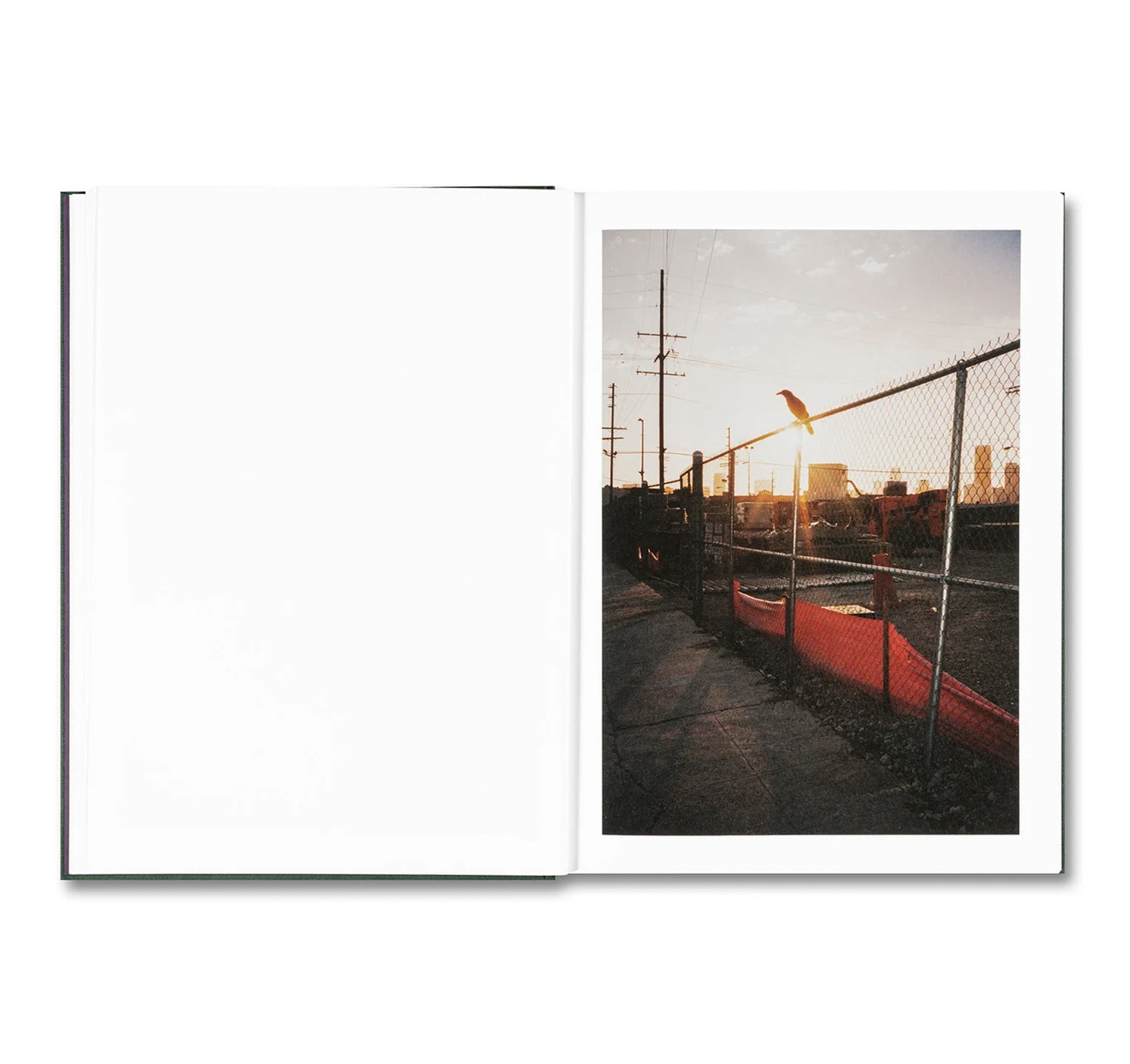 HOW ABOUT NEVER by Jerry Hsu