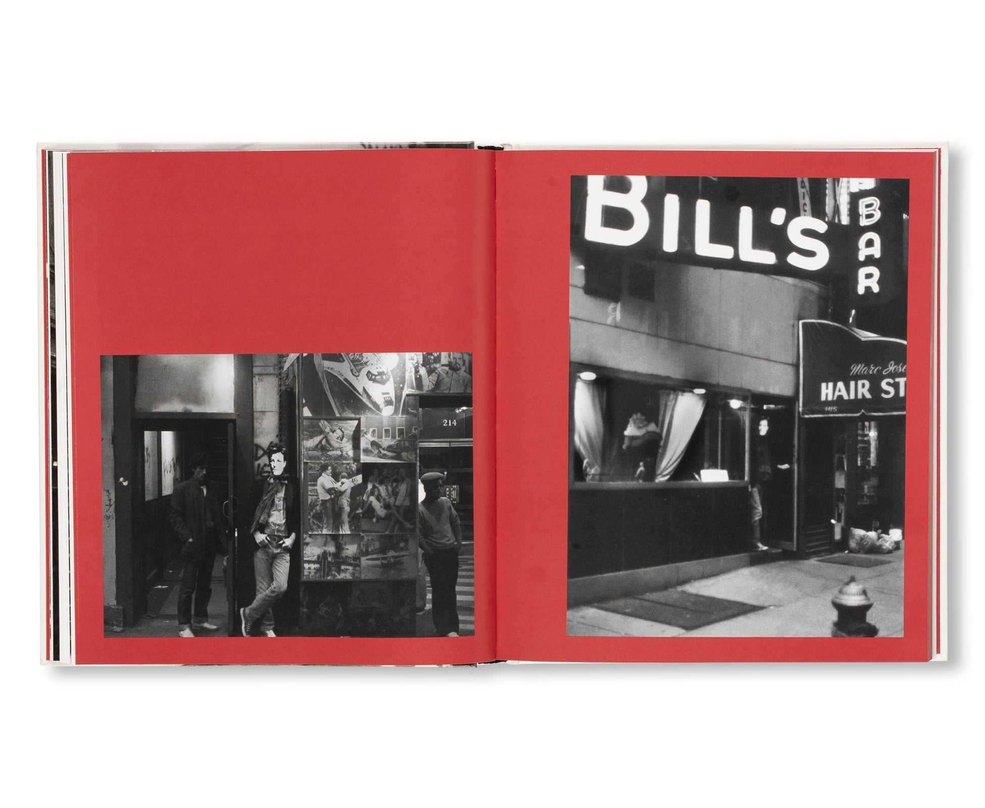 ARTHUR RIMBAUD IN NEW YORK by David Wojnarowicz