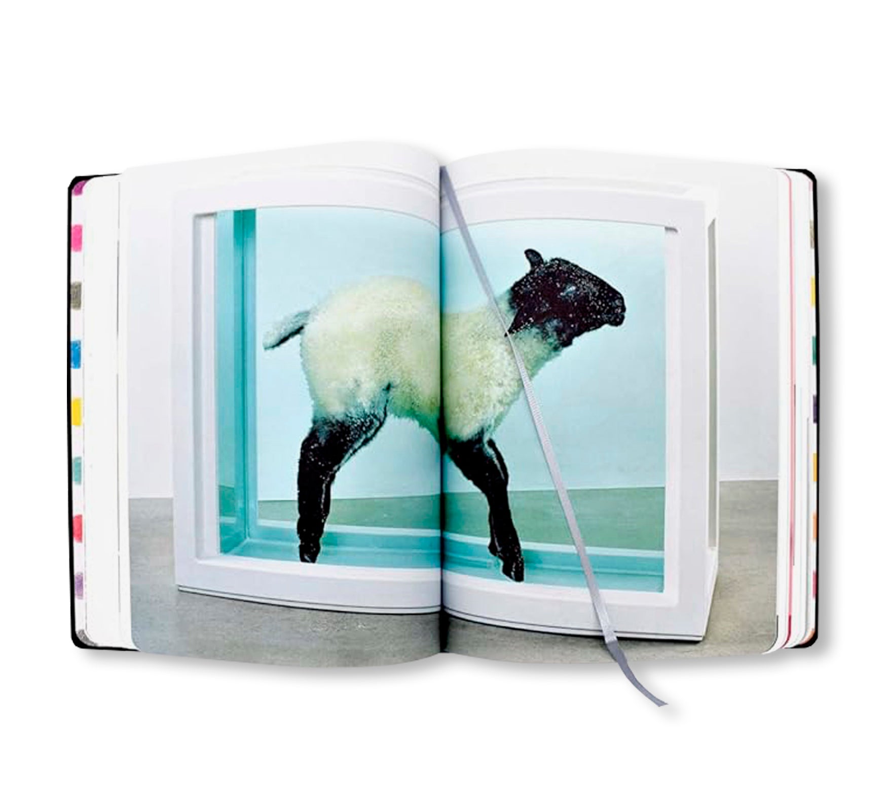 DAMIEN HIRST - DRAWINGS by Damien Hirst