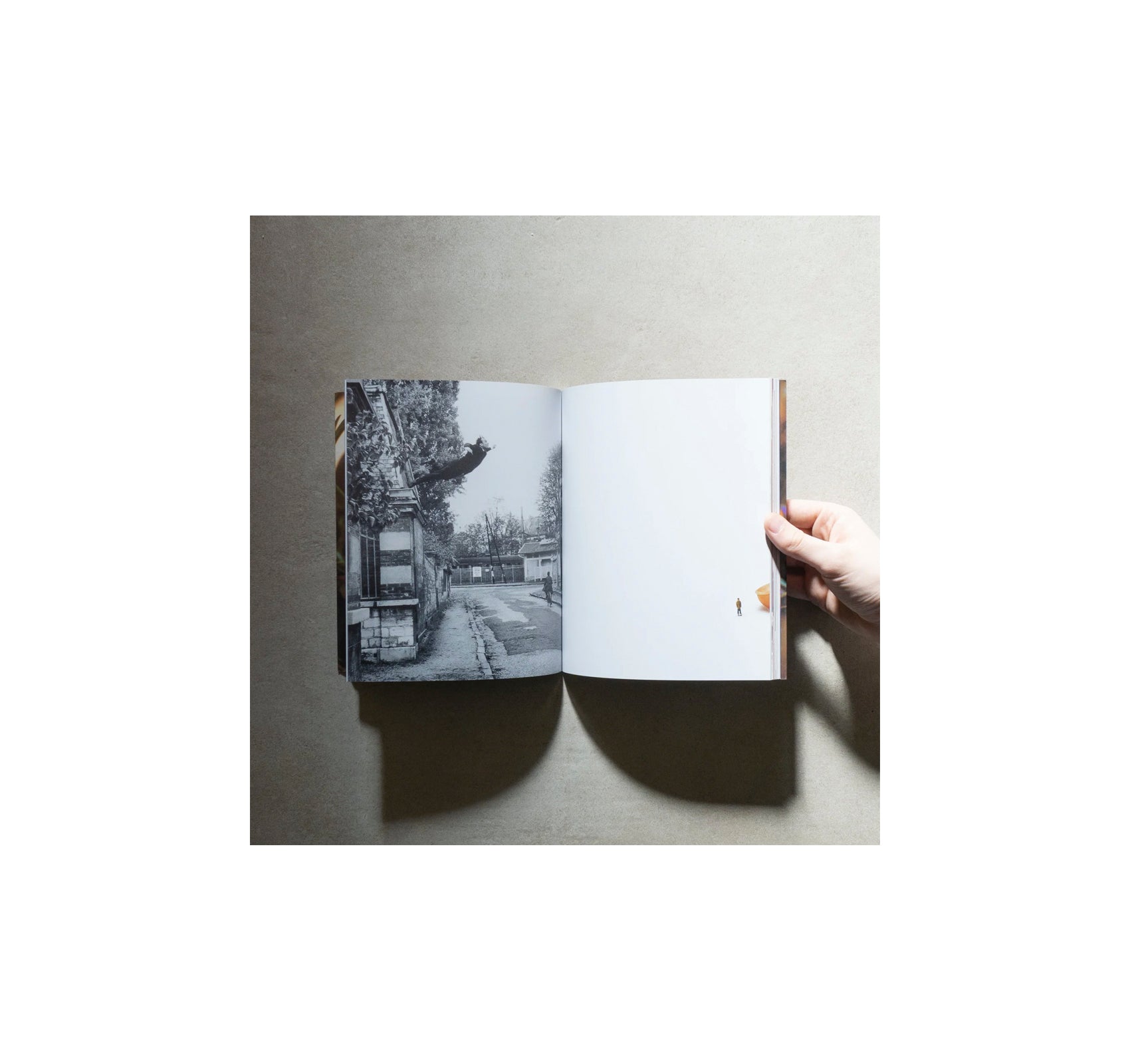 LUPETTO, PILOT ISSUE by Maurizio Cattelan