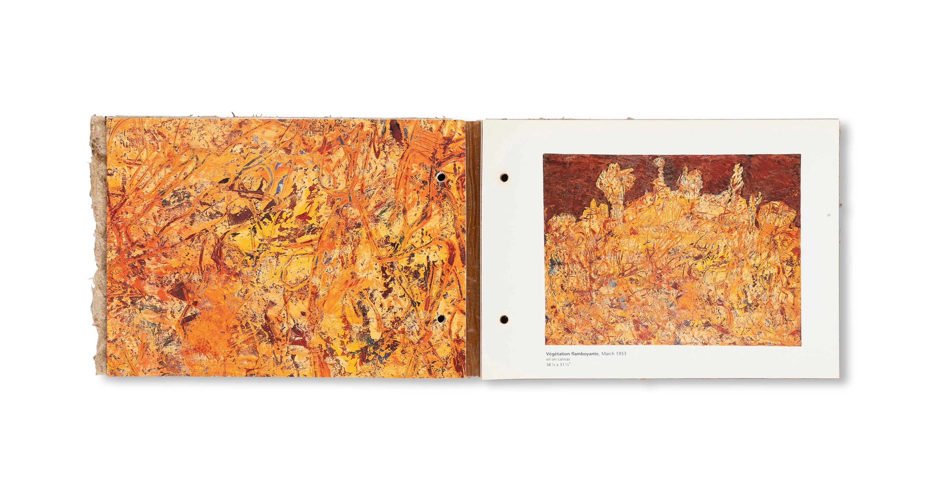 THE RADIANT EARTH by Jean Dubuffet [COVER A]