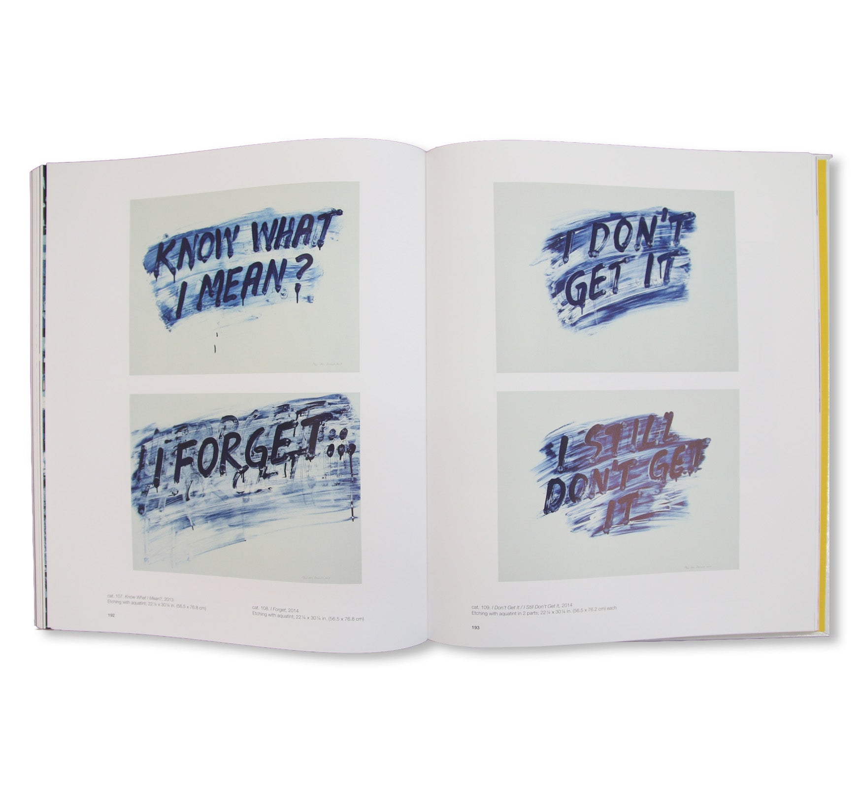 AMAZING! MEL BOCHNER PRINTS by Mel Bochner