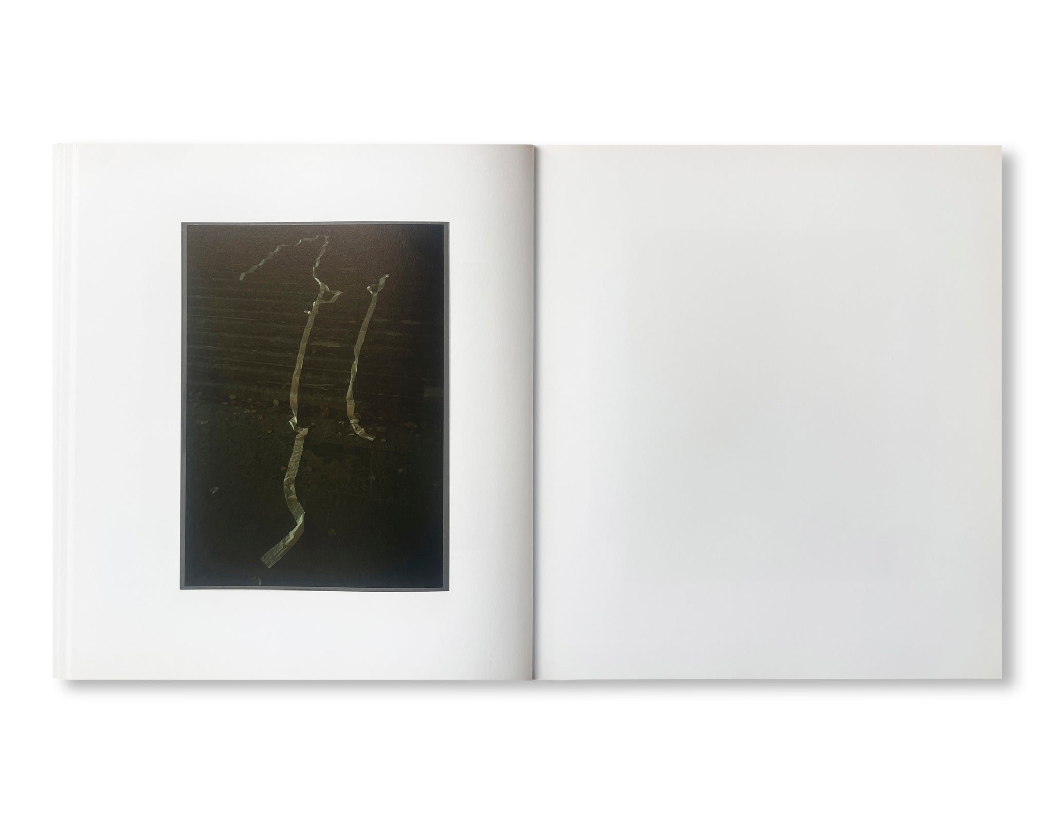 WIR UNGESTALTEN by Peter Fischli