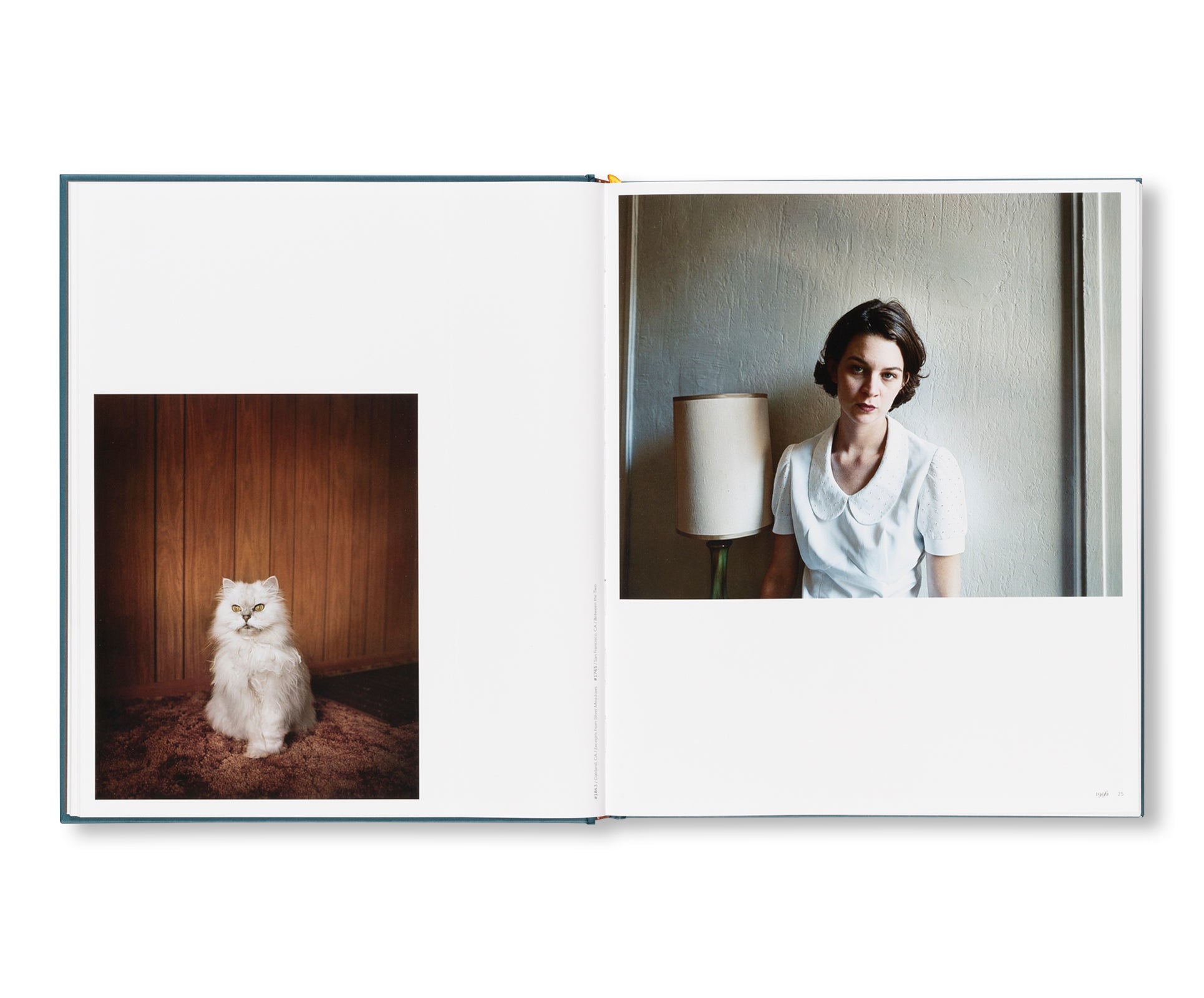 INTIMATE DISTANCE: OVER THIRTY YEARS OF PHOTOGRAPHS, A CHRONOLOGICAL ALBUM  by Todd Hido [REVISED AND EXPANDED EDITION]