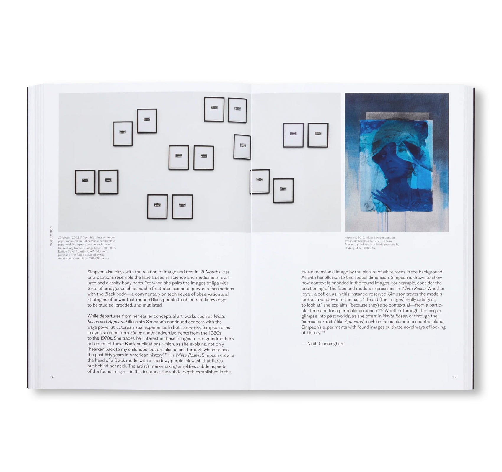 MEANING MATTER MEMORY: SELECTIONS FROM THE STUDIO MUSEUM IN HARLEM COLLECTION