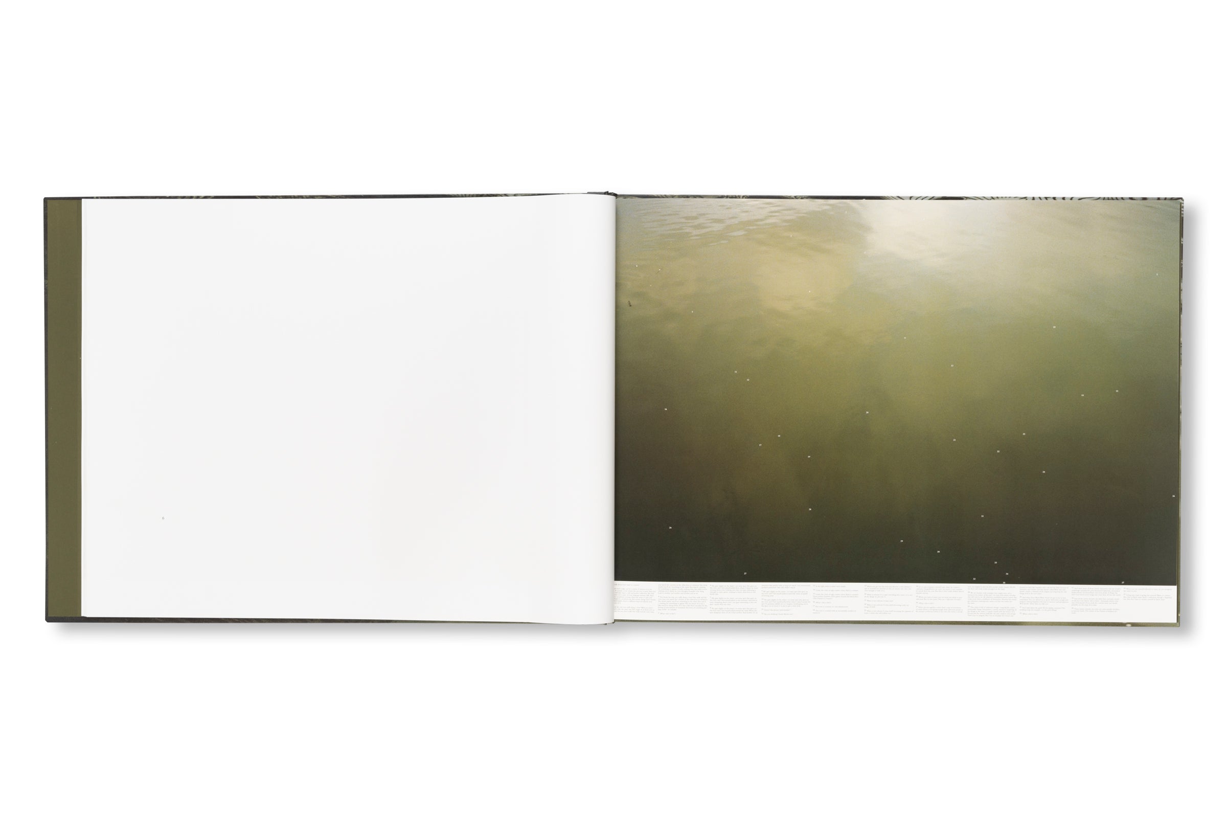 STILL WATER by Roni Horn