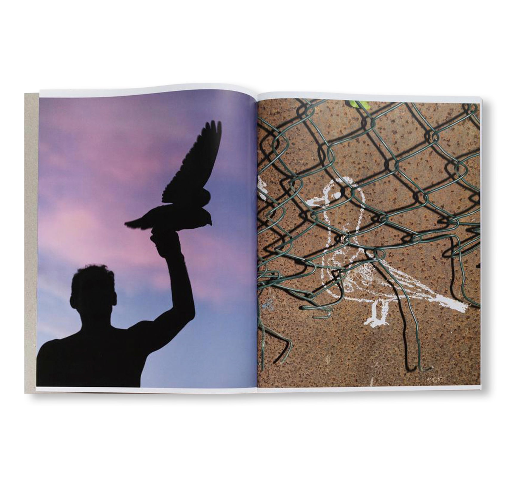 PICADERO by Carlos Jaramillo