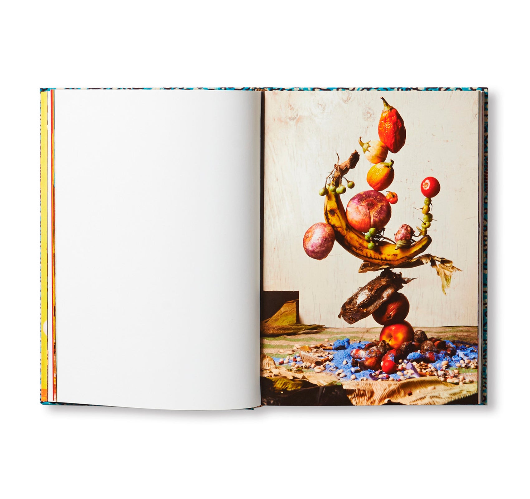 DALSTON ANATOMY by Lorenzo Vitturi [FIRST EDITION / SIGNED / NUMBERED]