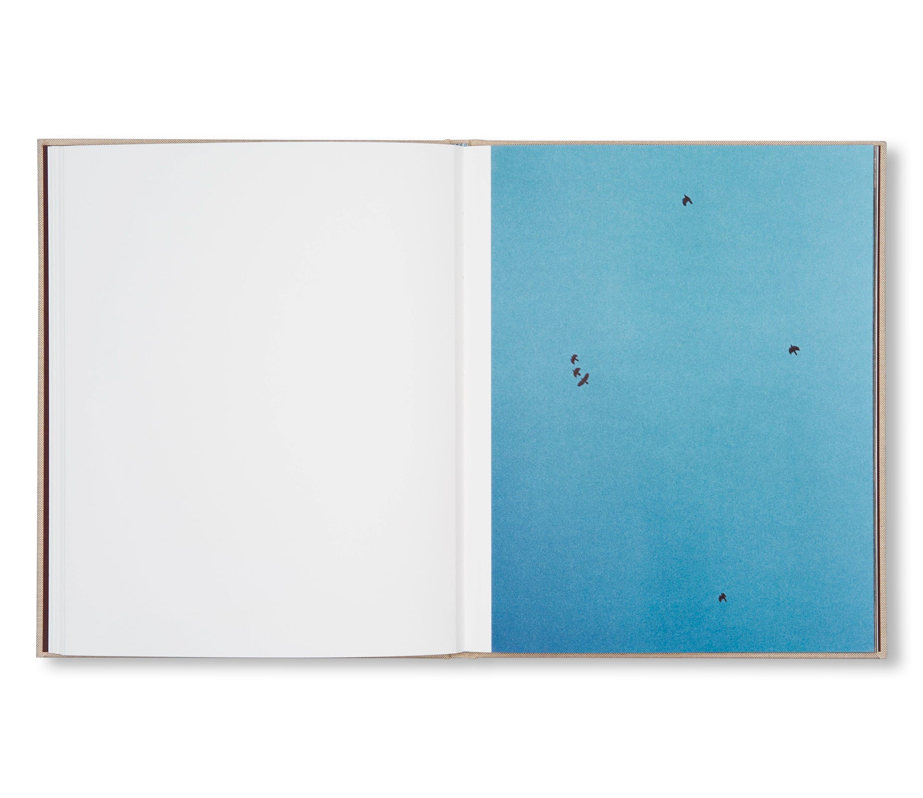 KUMO / 雲 by Osamu Yokonami [SPECIAL EDITION]