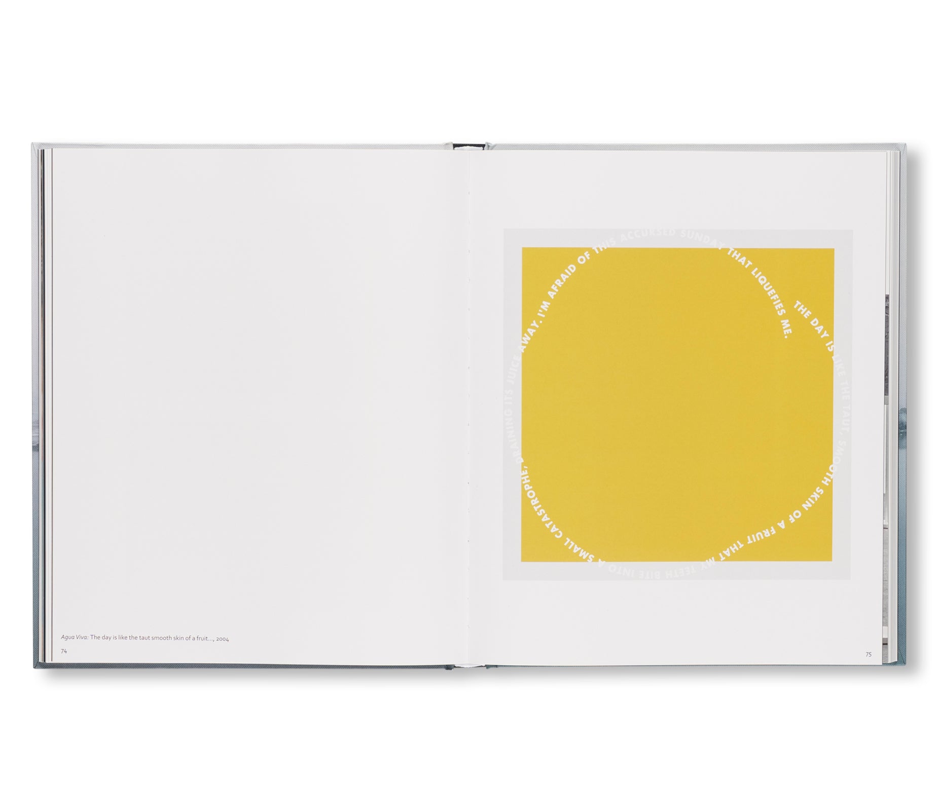 RONI HORN: WATER WATER ON THE WALL, YOU’RE THE FAIREST OF THEM ALL by Roni Horn