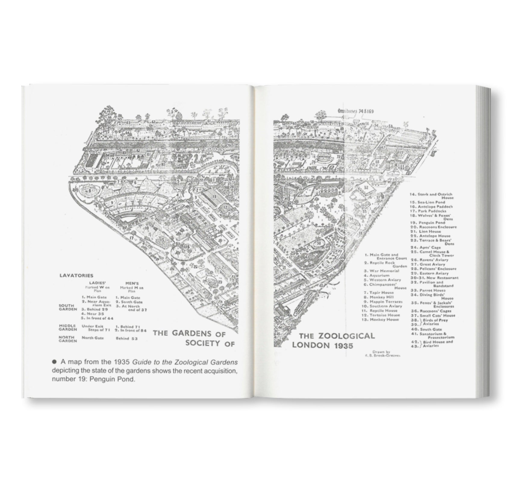 BAUHAUS TASCHENBUCH 28 - NOT A PENGUIN POOL: ECHOES OF MORE-THAN-HUMAN ENTANGLEMENTS by Stiftung Bauhaus Dessau