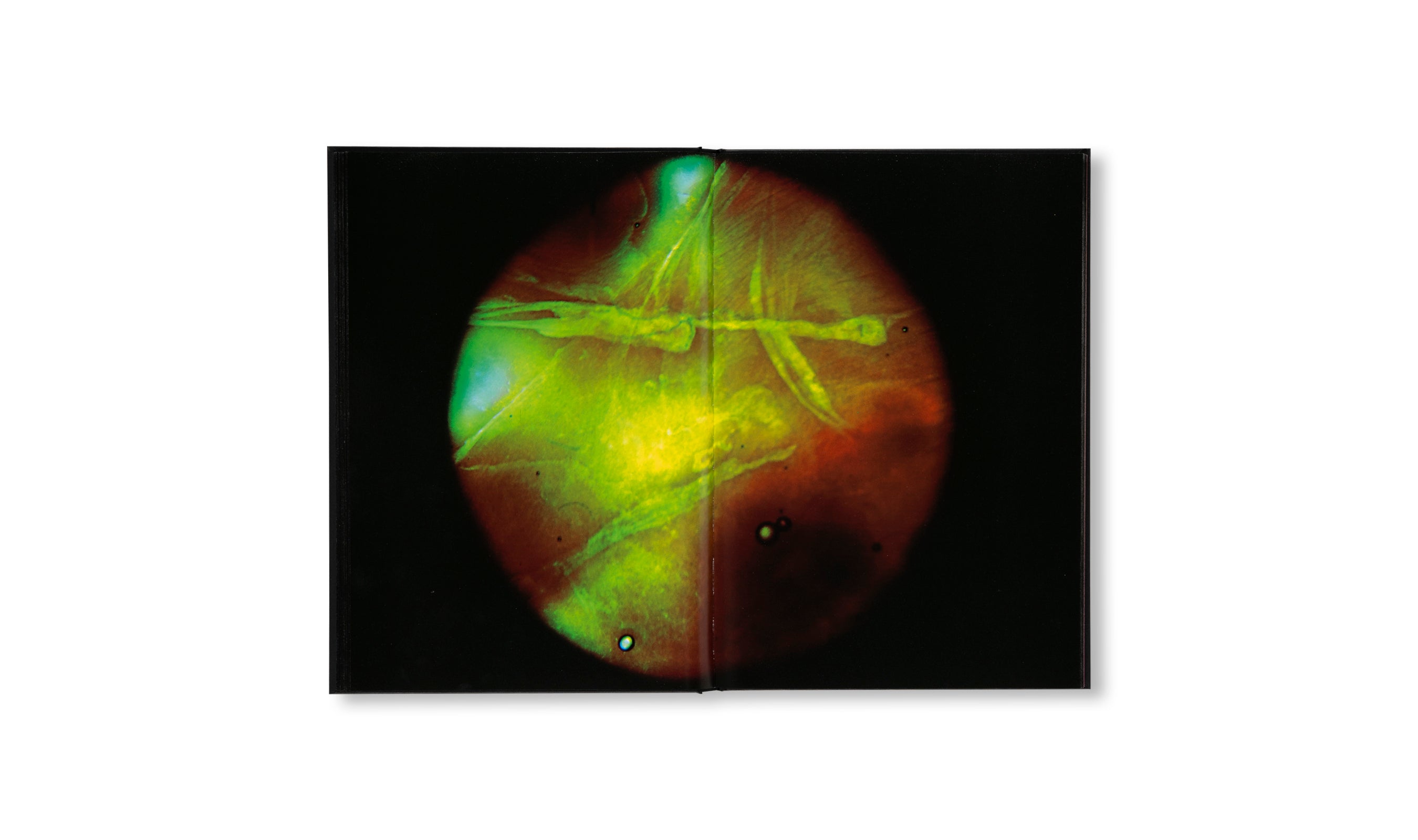 MY BLOODY HAND by Momo Okabe