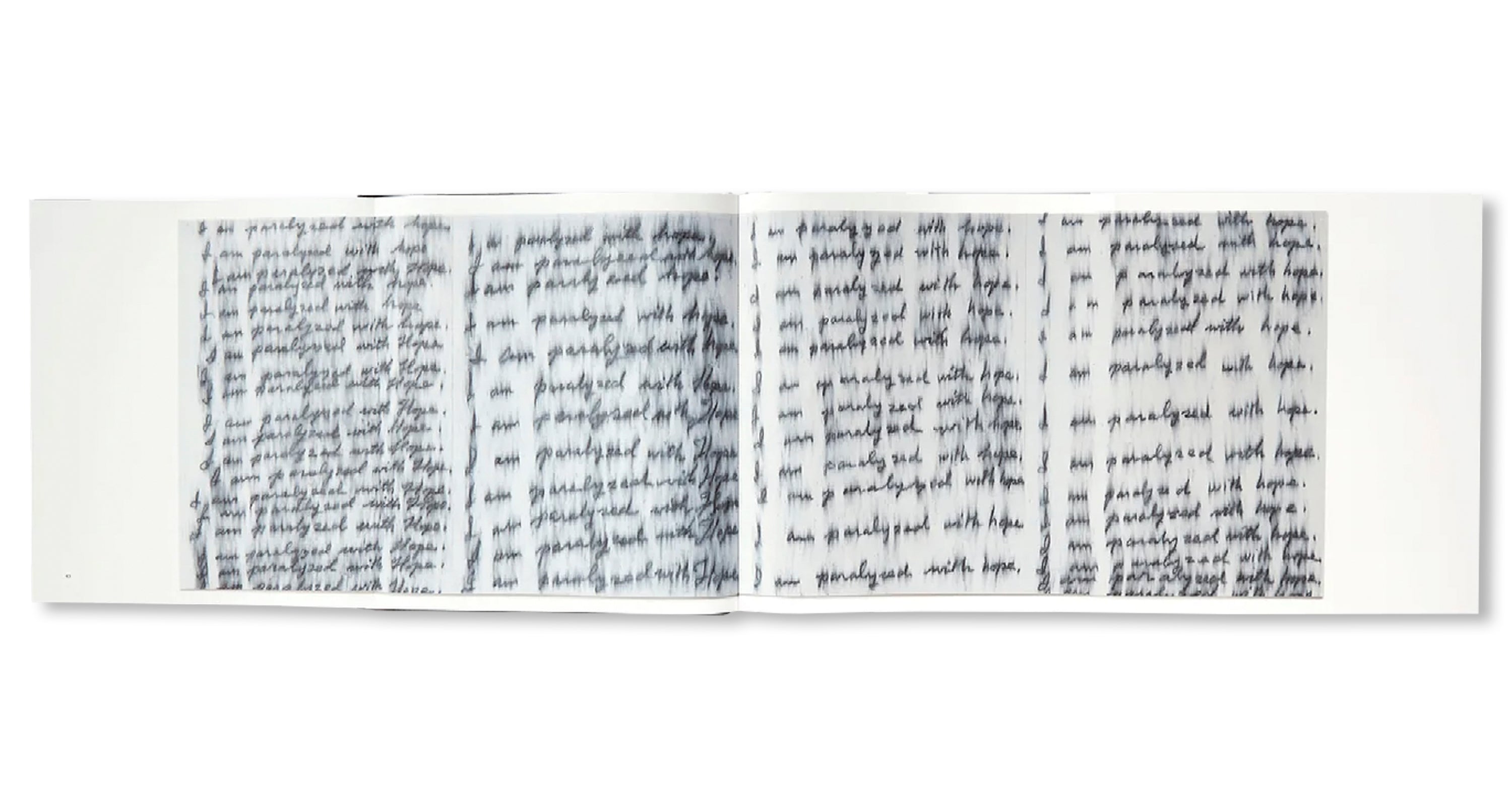 SEIZURE OF HOPE by Roni Horn