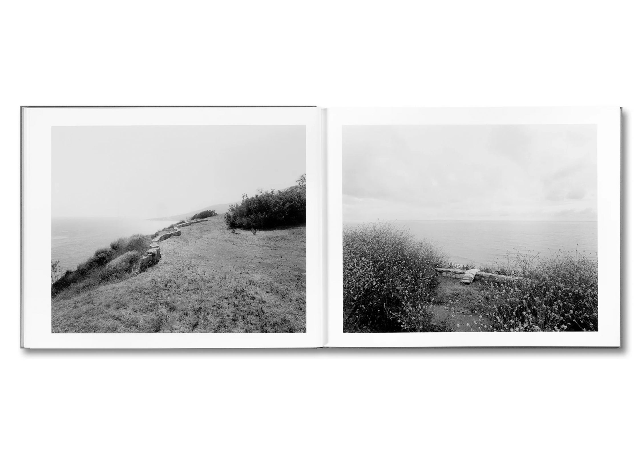 THE WESTERN EDGE by Mark Ruwedel