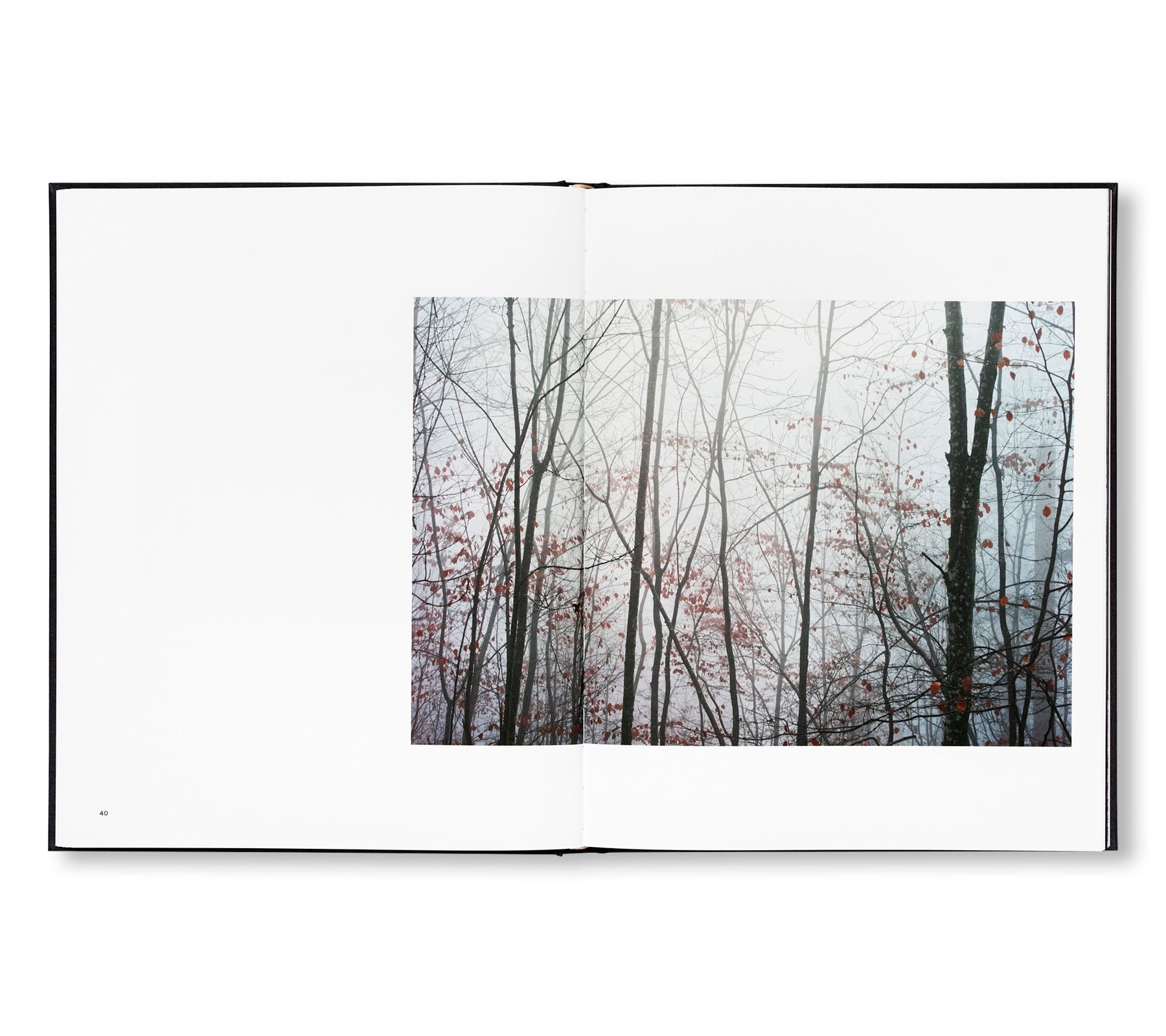 THE ENCOUNTER by Stéphan Crasneanscki [SIGNED]