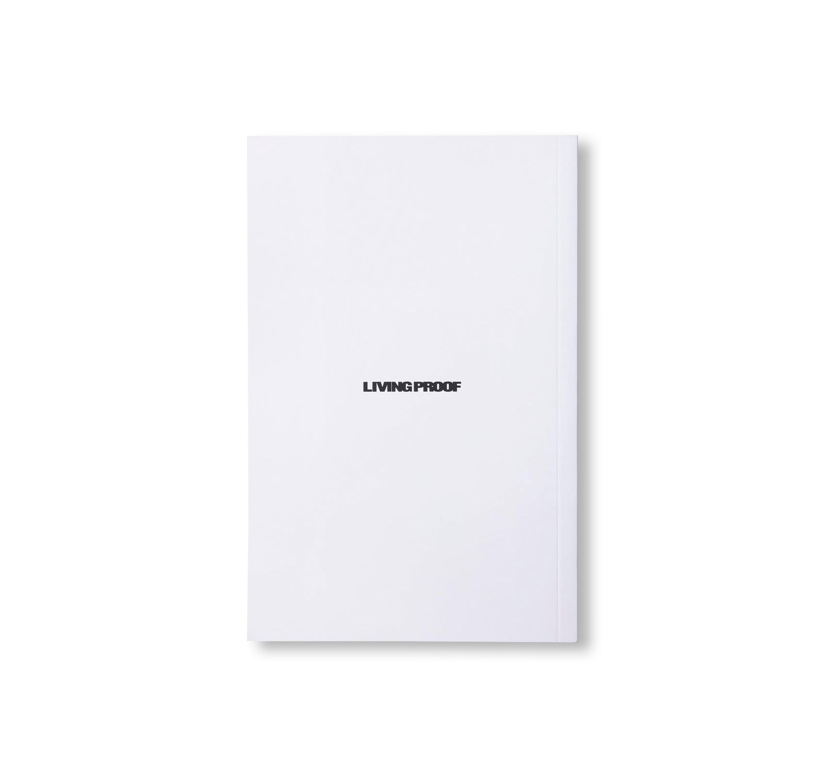 CALLED HOME by Larry Clark