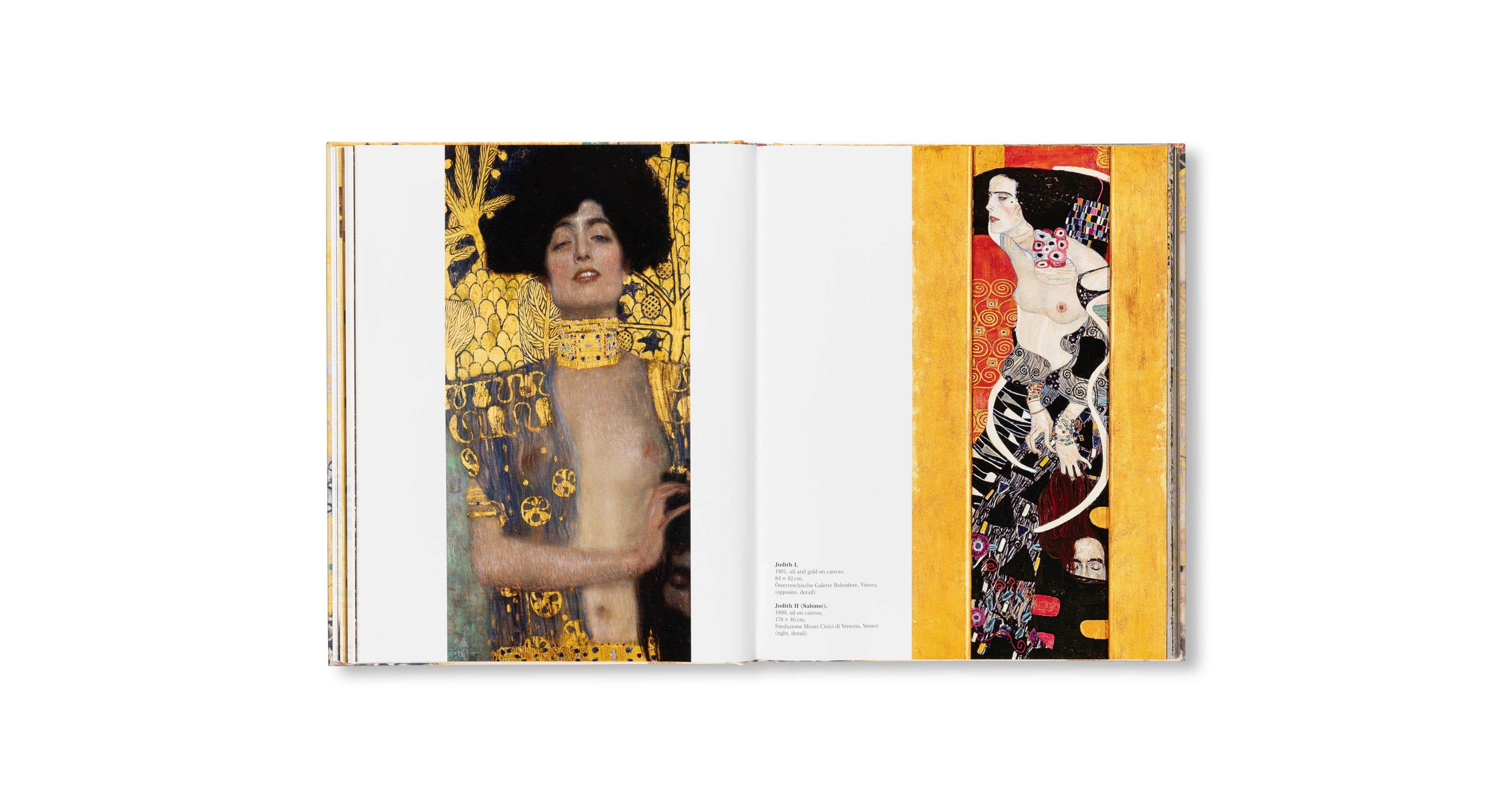 KLIMT - THE BIGGER PICTURE by Philippe Thiébaut