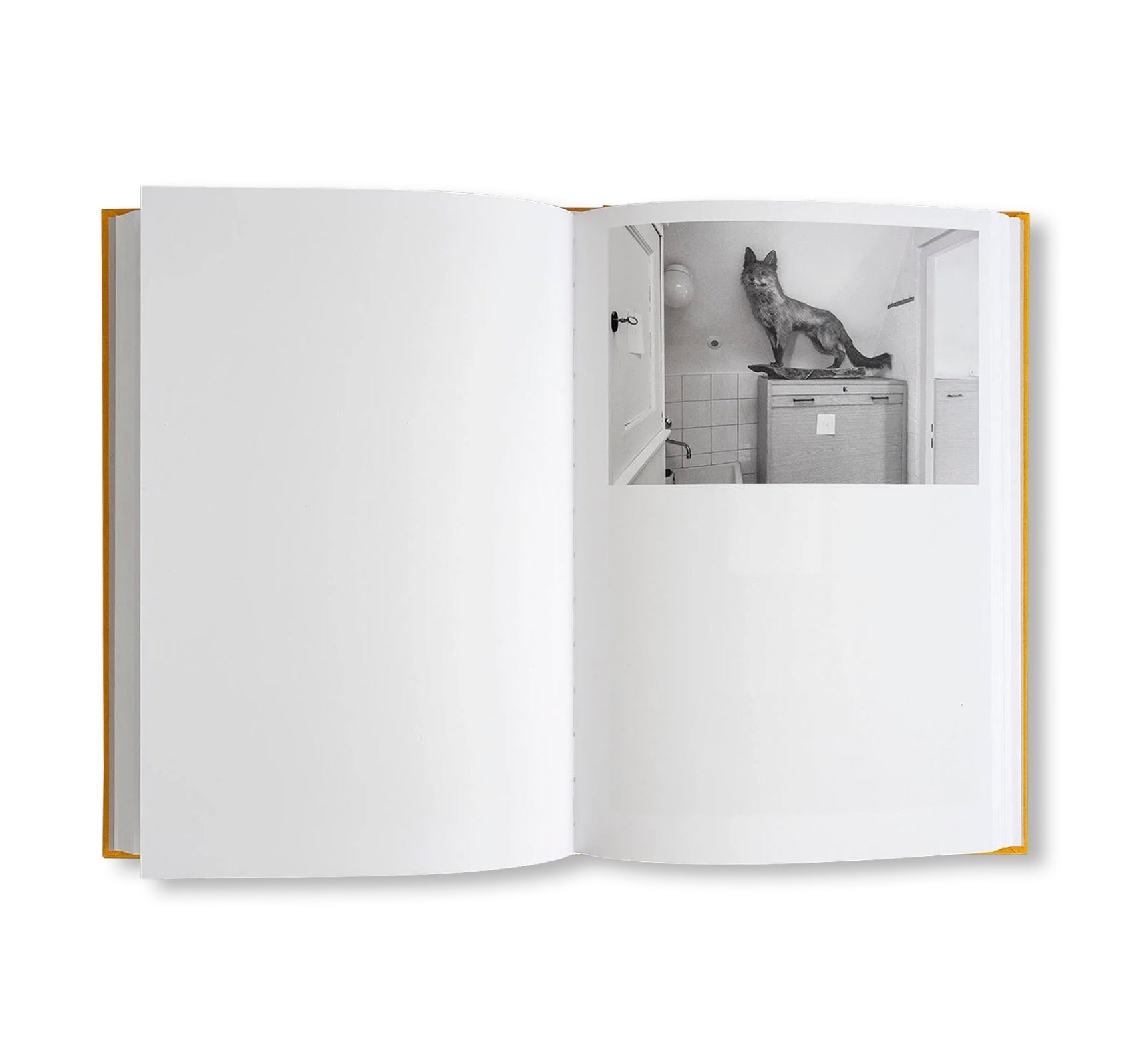 HANNE DARBOVEN. AM BURGBERG by Julia Gaisbacher