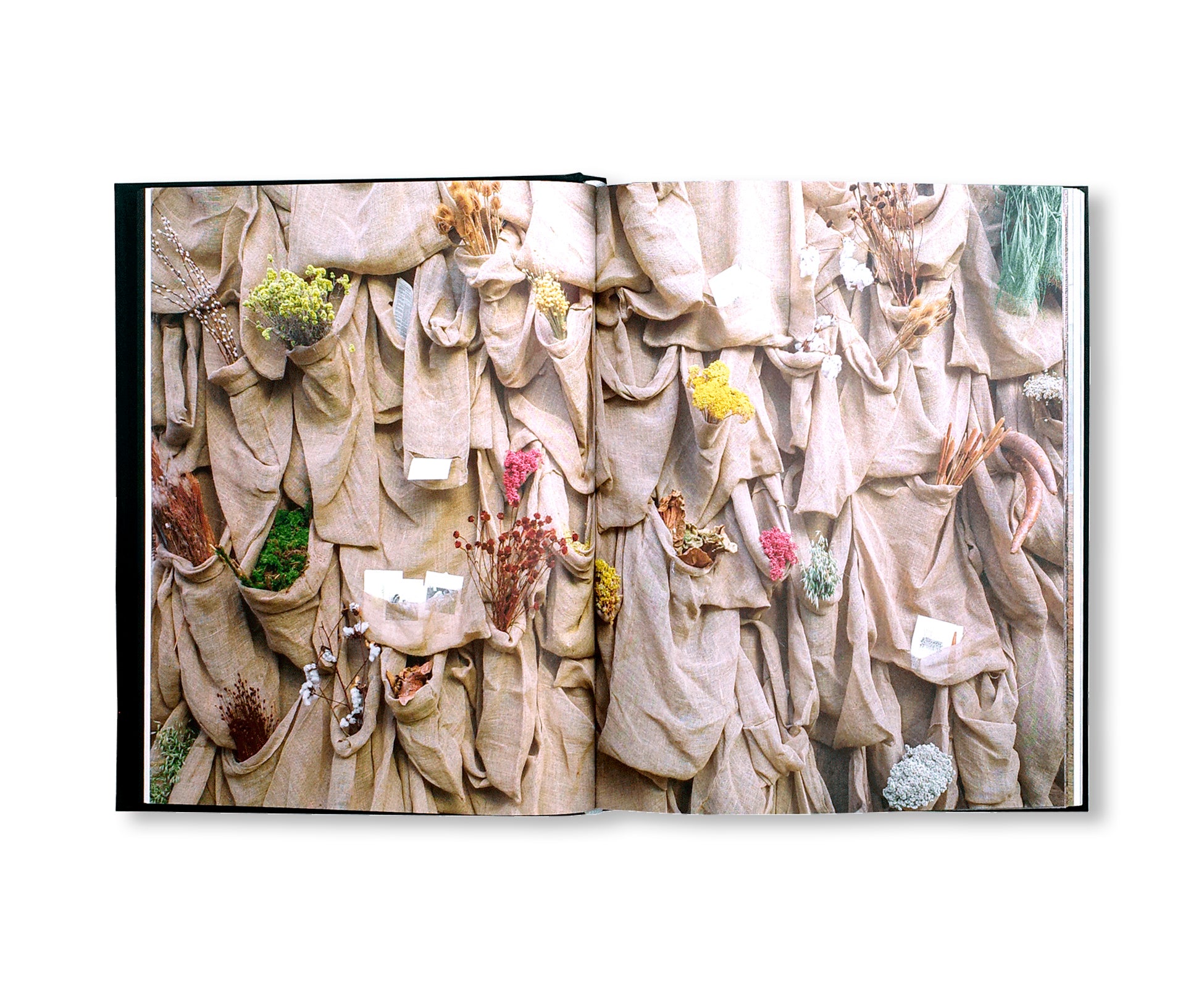 SOLANGE PESSOA (2023) by Solange Pessoa