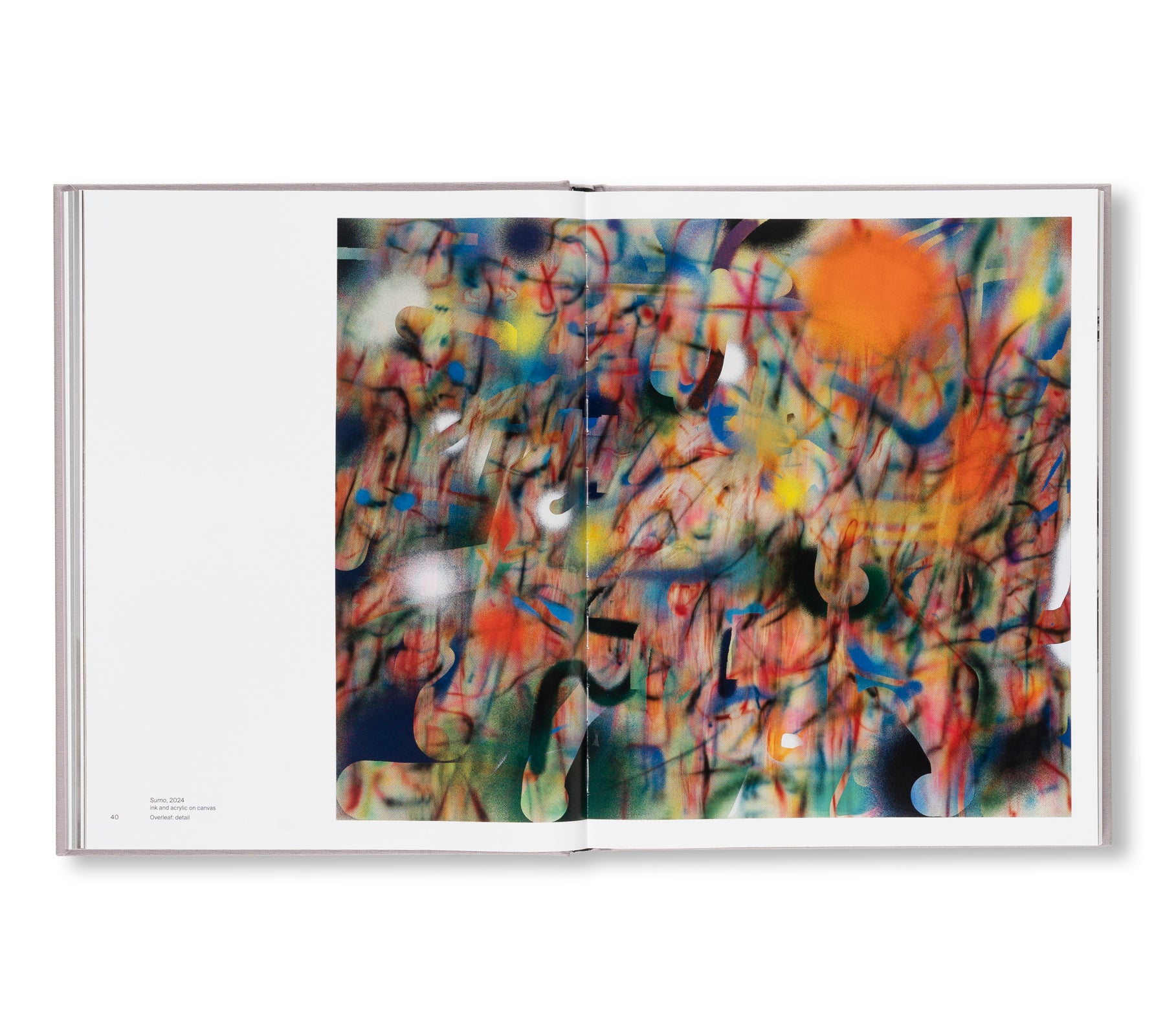 A TRANSCORE OF THE RADICAL IMAGINATORY by Julie Mehretu