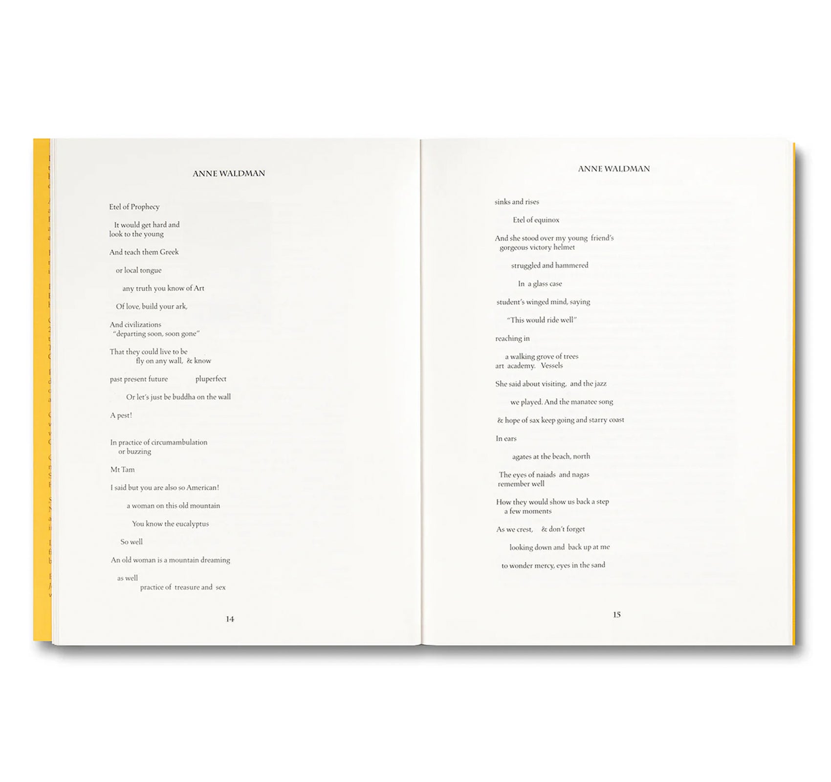 MY CENTER IS NOT IN THE SOLAR SYSTEM: TRIBUTES TO ETEL ADNAN by Etel Adnan