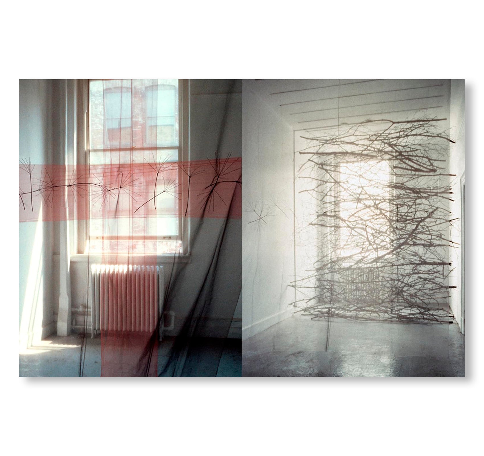 MAREN HASSINGER: LIVING MOVING GROWING by Maren Hassinger