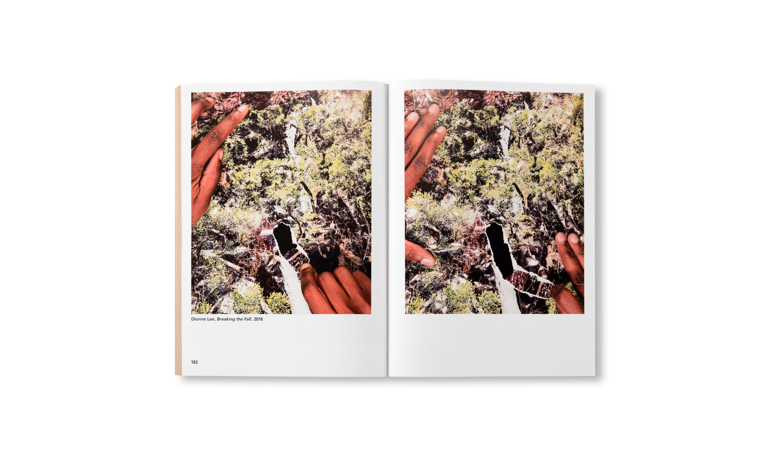 WIDENING THE LENS: PHOTOGRAPHY, ECOLOGY, AND THE CONTEMPORARY LANDSCAPE