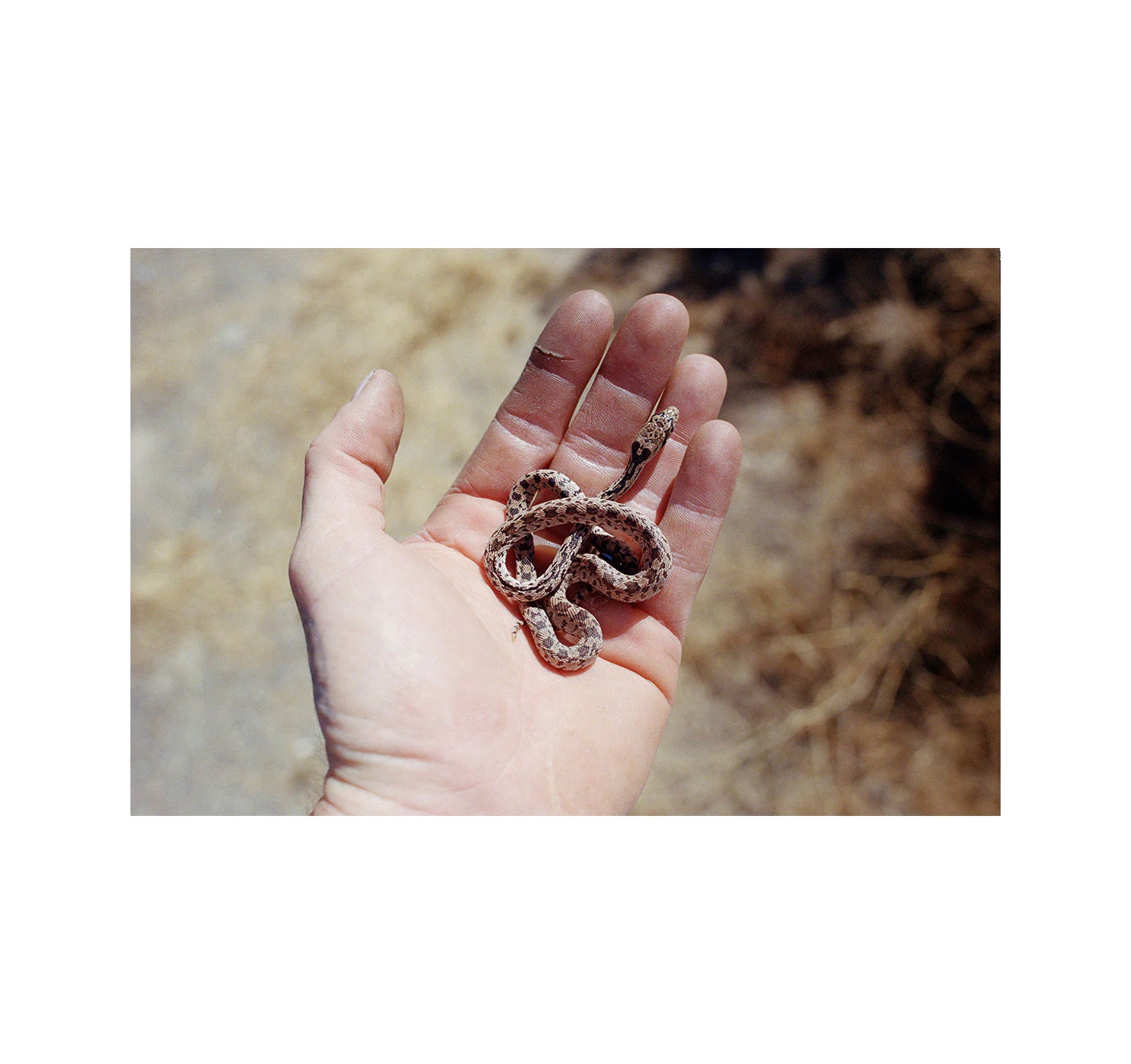 FAILING by Mike Brodie