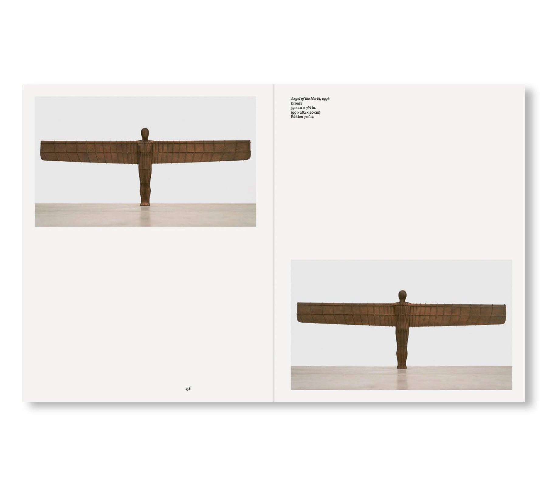 SURVEY by Antony Gormley