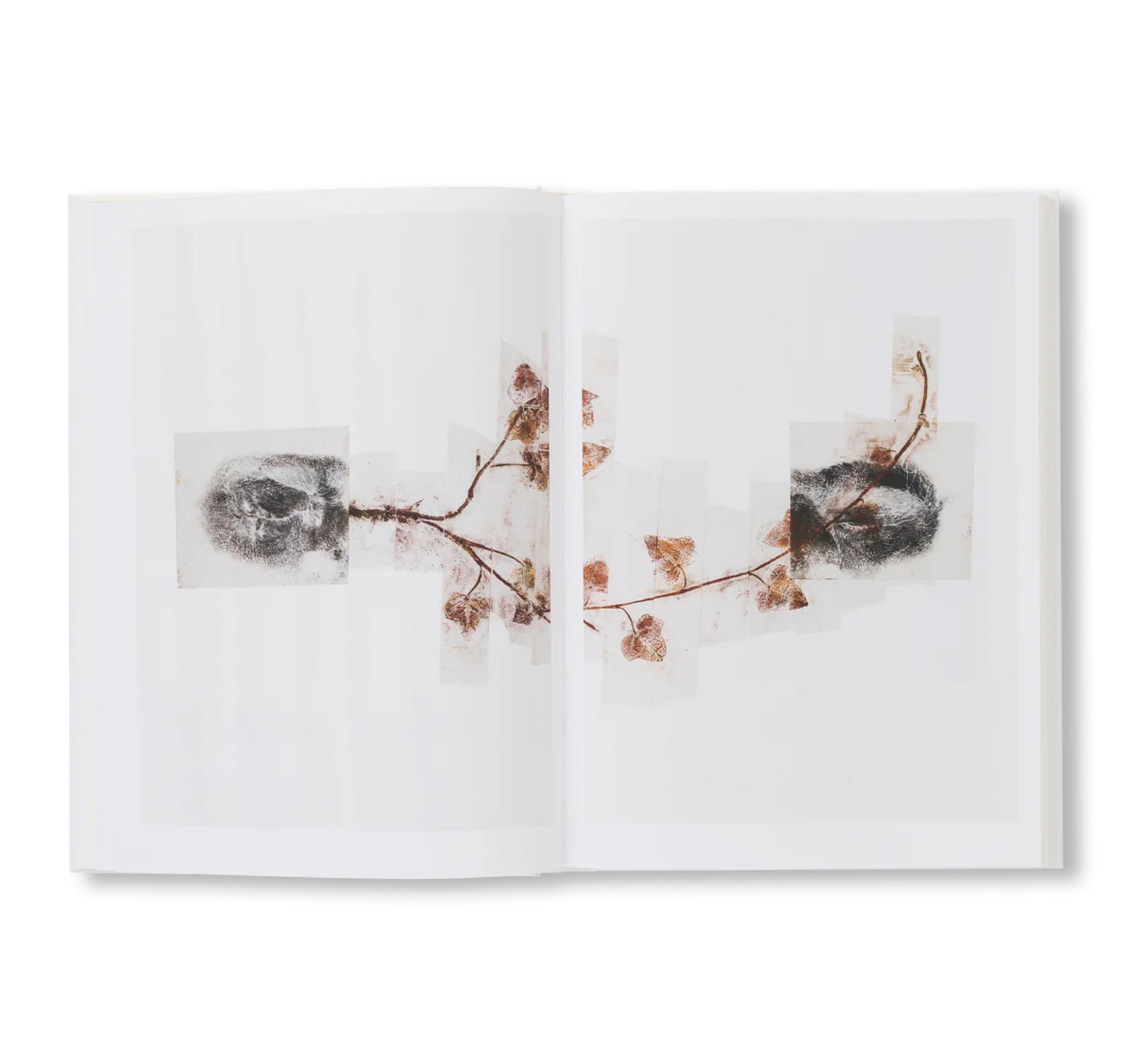 GIUSEPPE PENONE: THOUGHTS IN THE ROOTS by Giuseppe Penone