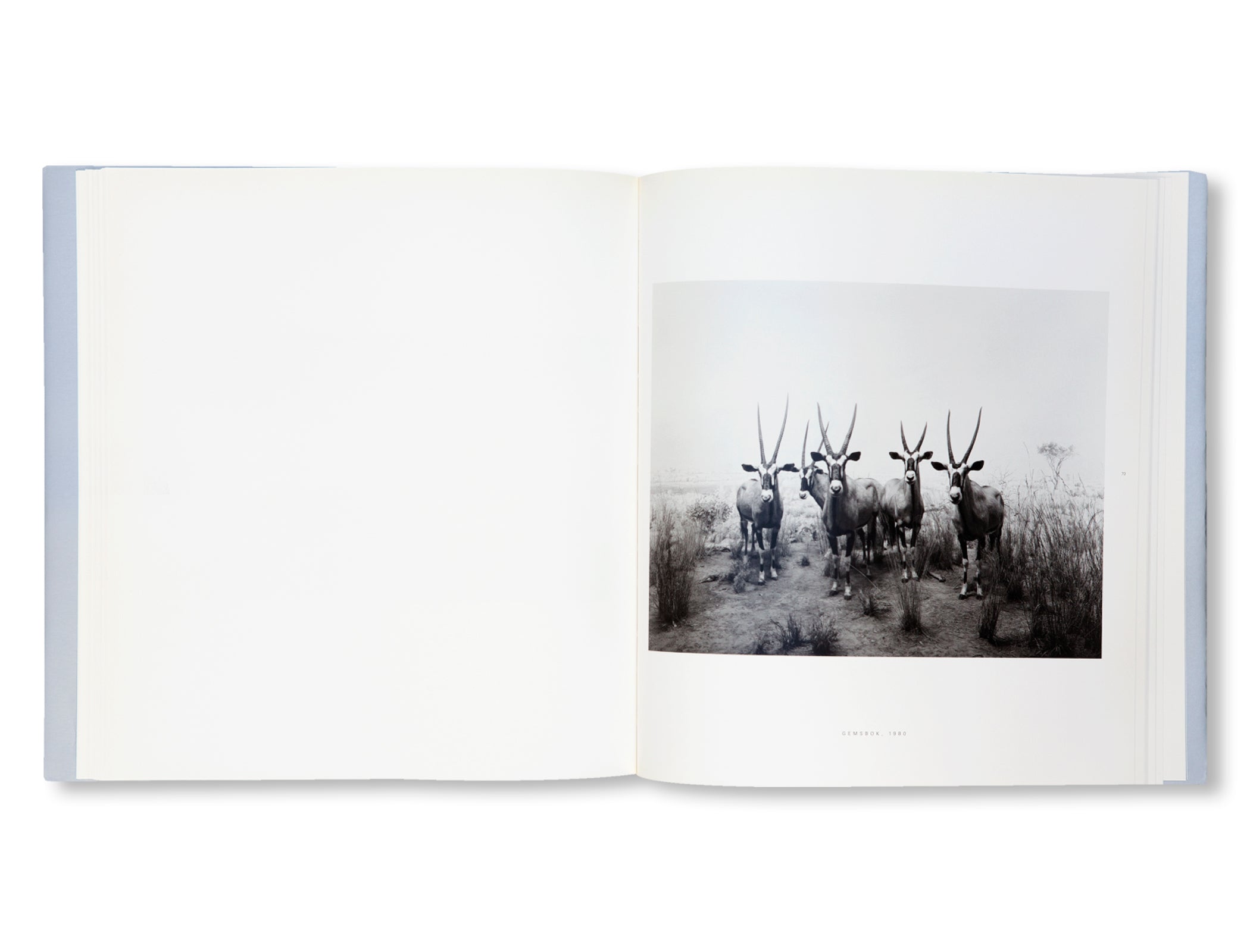 DIORAMAS by Hiroshi Sugimoto