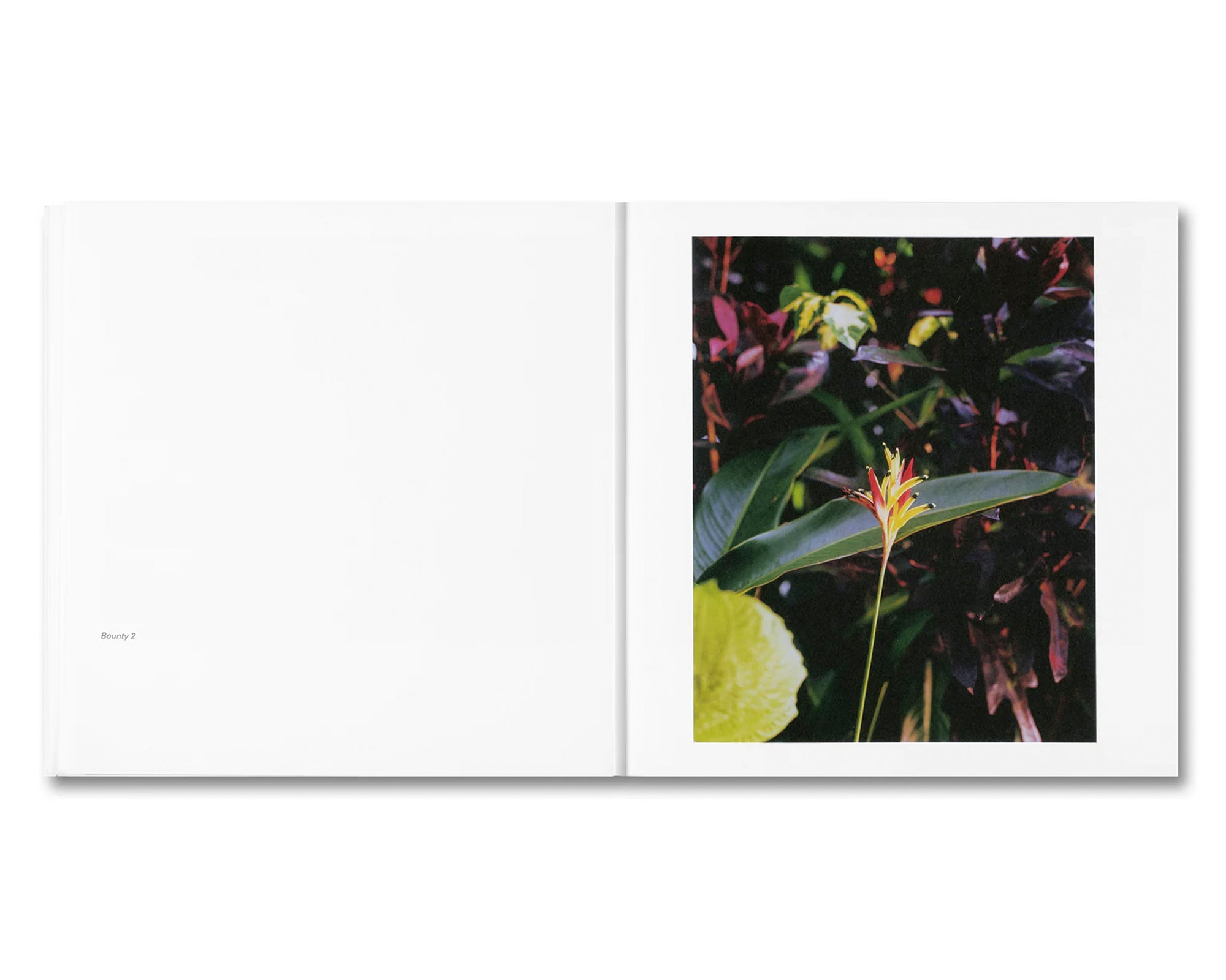 BOUNTY by Steve McQueen