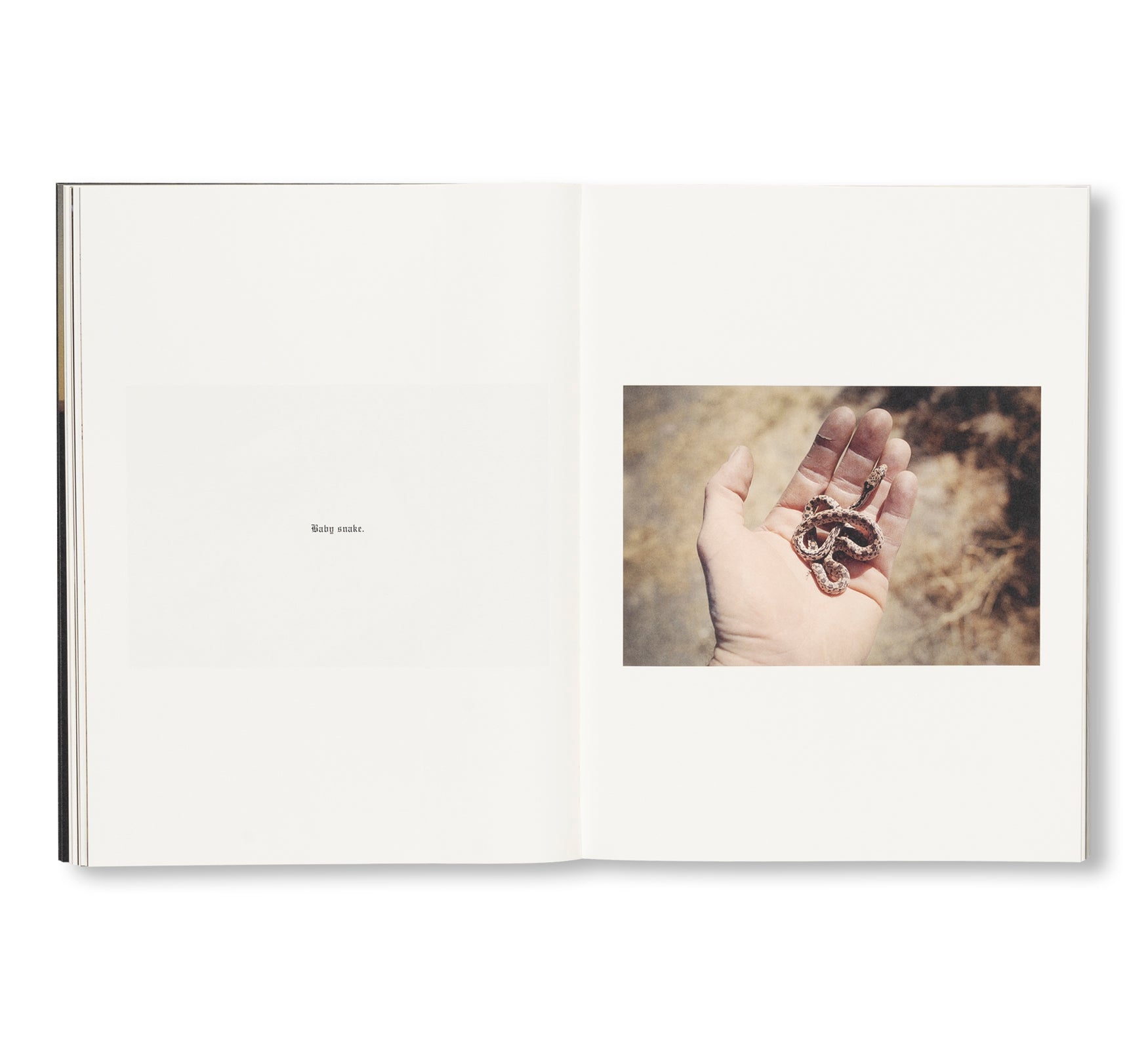 FAILING by Mike Brodie