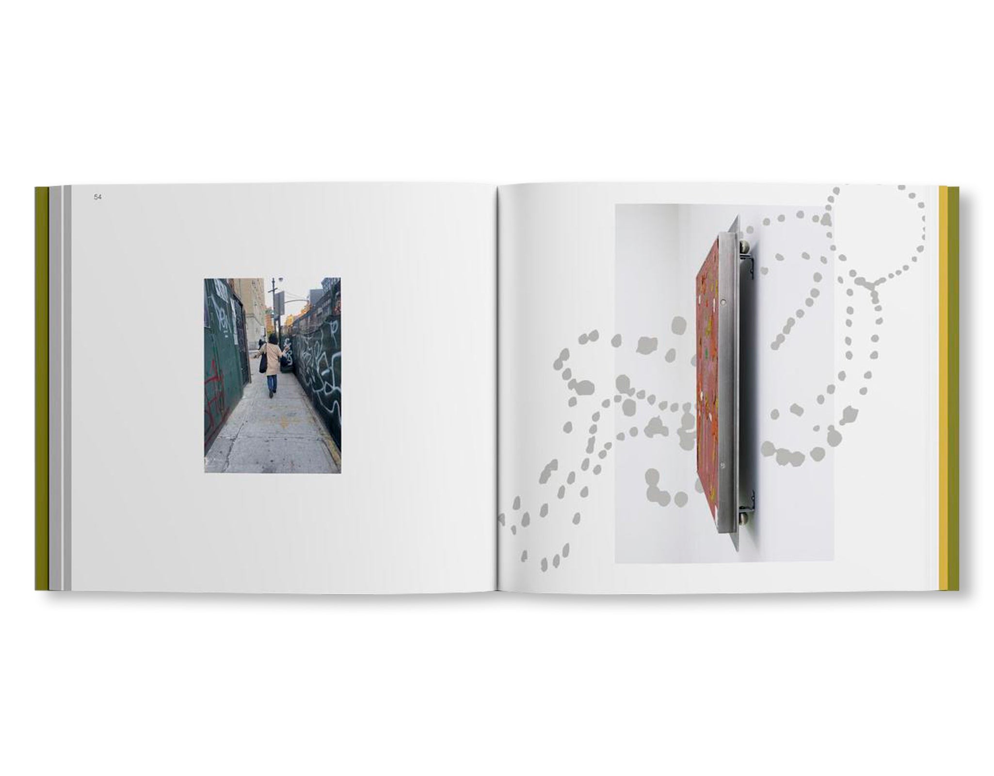 A LANDSCAPE SHREDDED by Molly Rose Lieberman