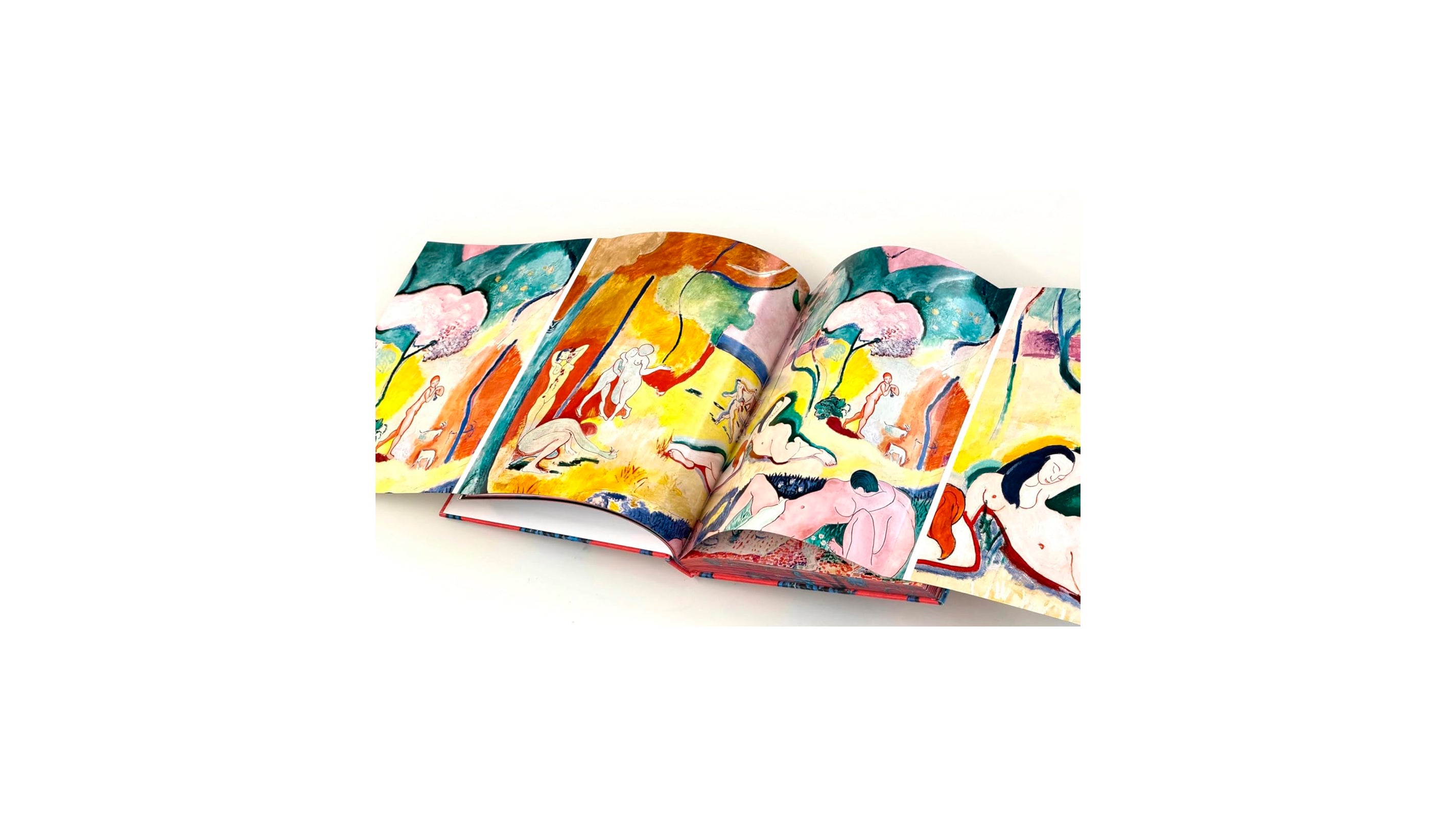 MATISSE - THE BIGGER PICTURE by Anne Sefrioui