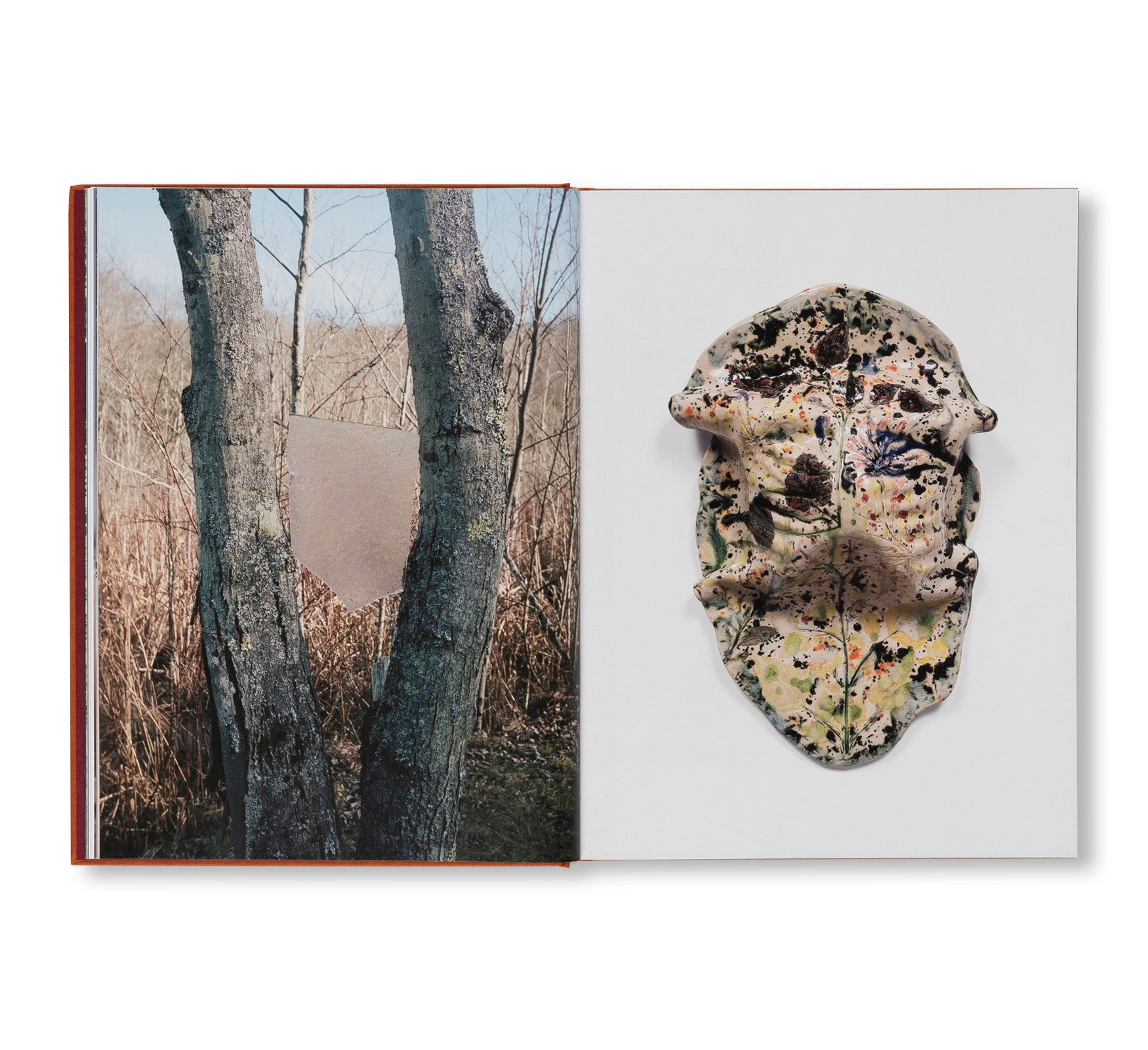 AFTER LIFE by Sam Falls