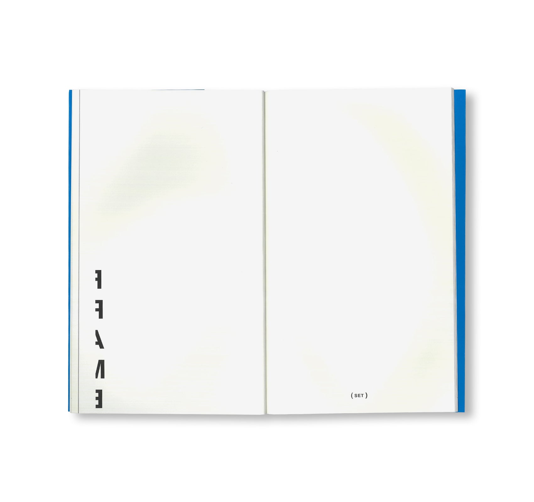 [TILL by Peter Downsbrough [FRENCH EDITION]